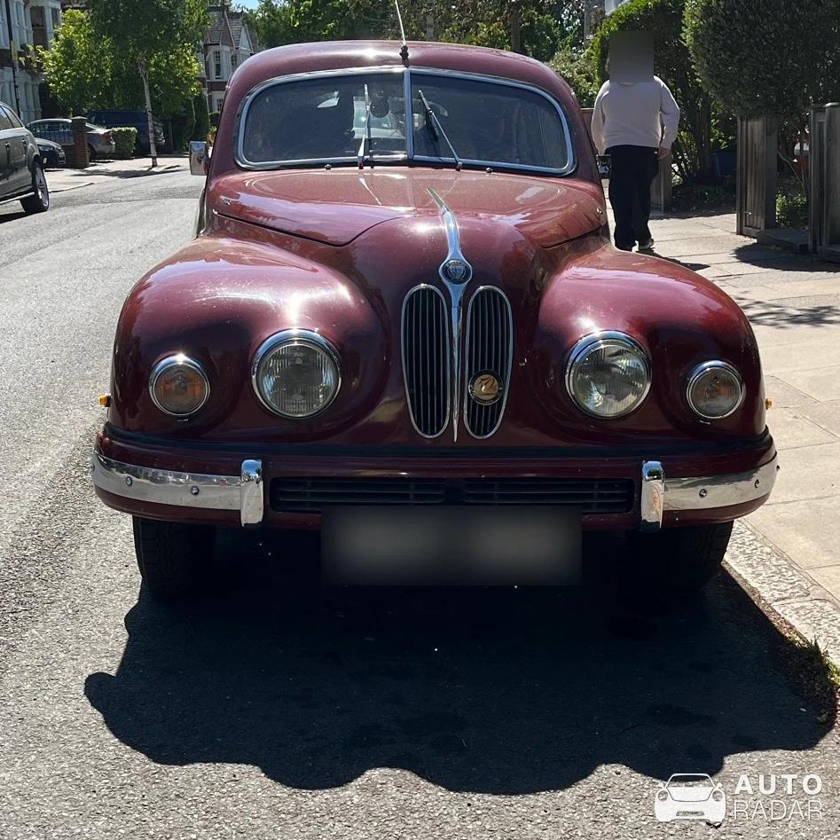 Bristol 408 spotted