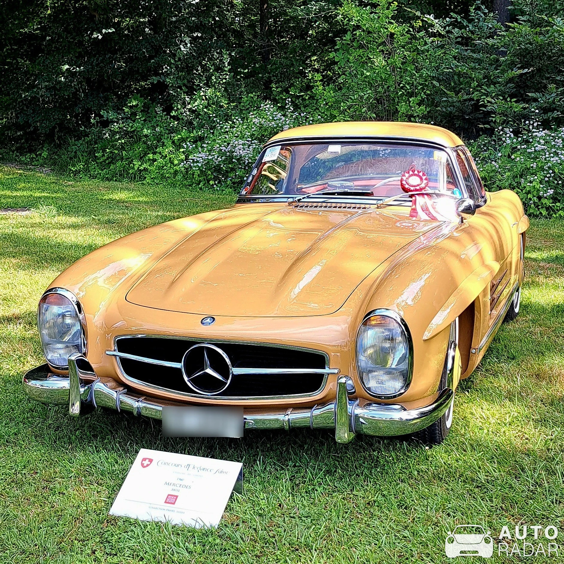 Mercedes-Benz 300SL Gullwing spotted in Coppet, Suisse