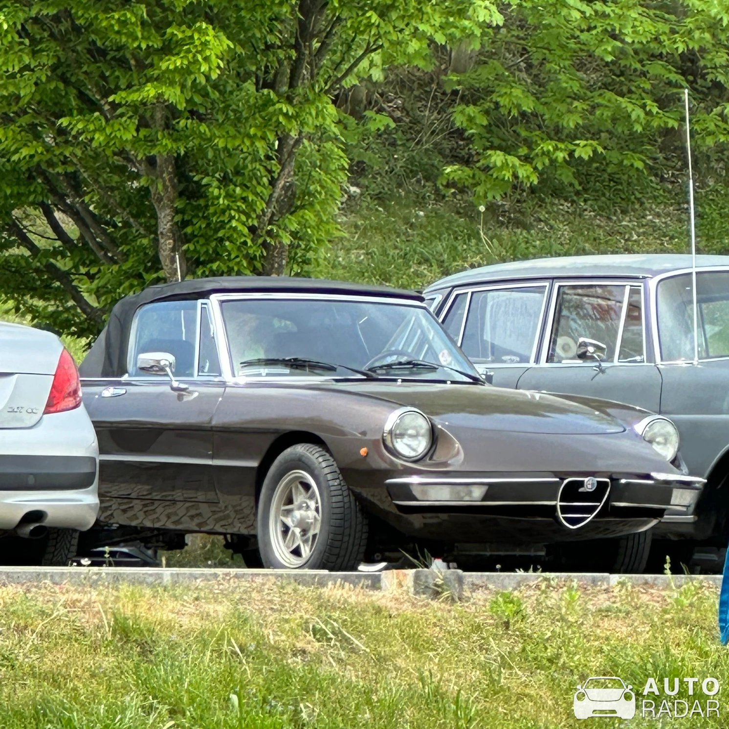 Alfa Romeo 2000 Spider spotted in Rudolfstetten-Friedlisberg