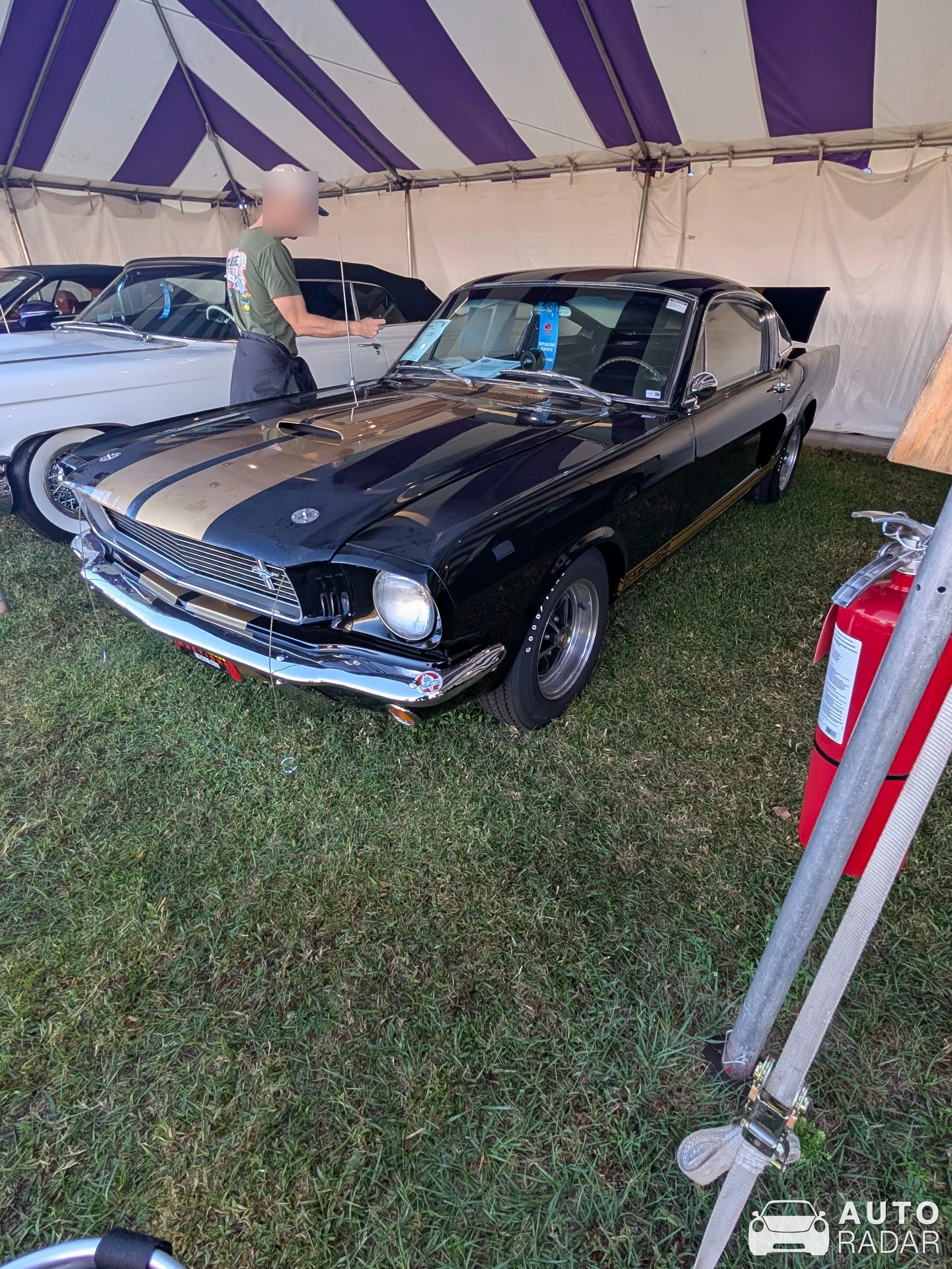 Ford Mustang Shelby G.T. 350H spotted in Magaragadi, Nepal