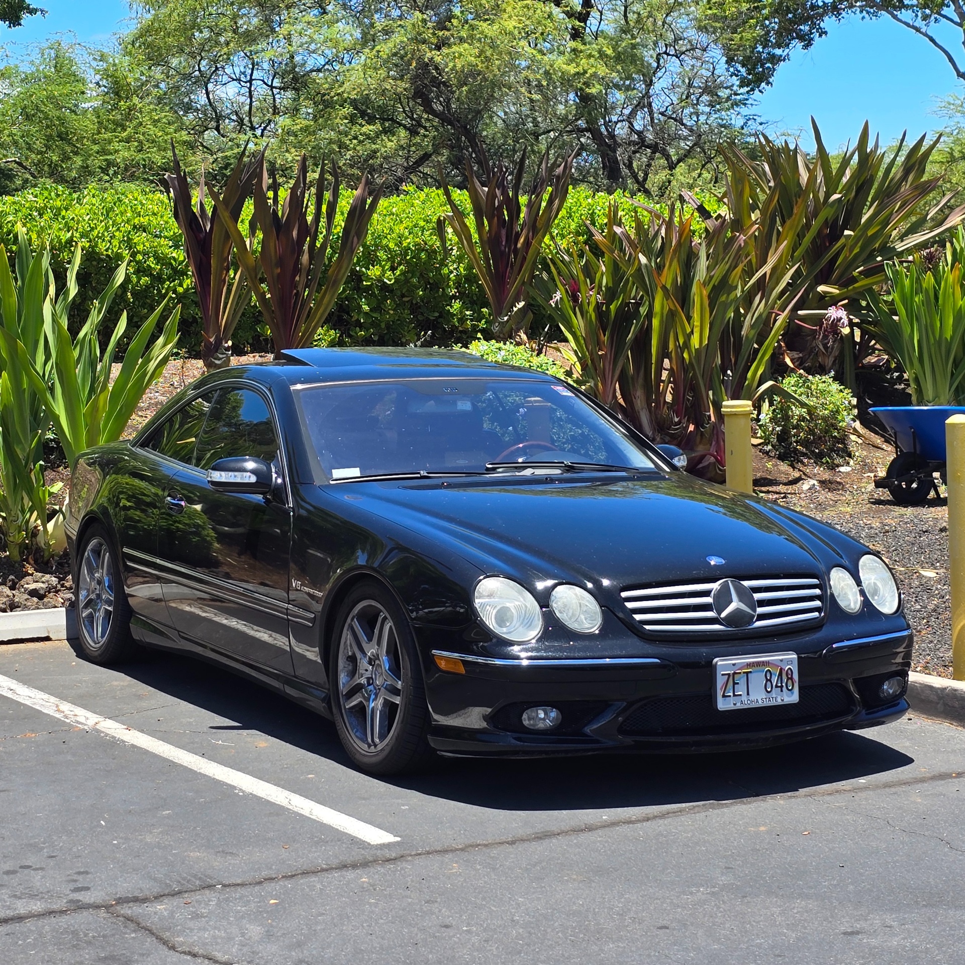 Mercedes-Benz CL 55 AMG C215