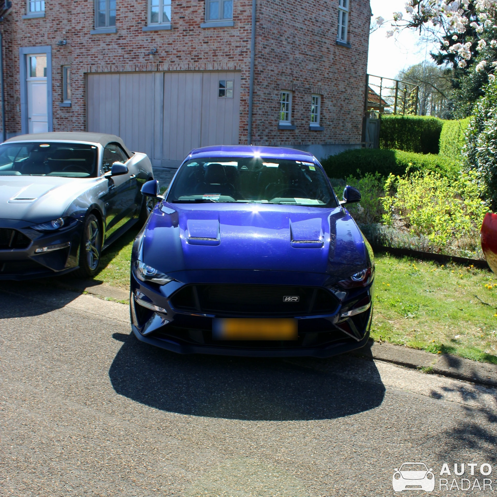 Ford Mustang GT 2018 Wengler Racing spotted in Heusden-Zolder