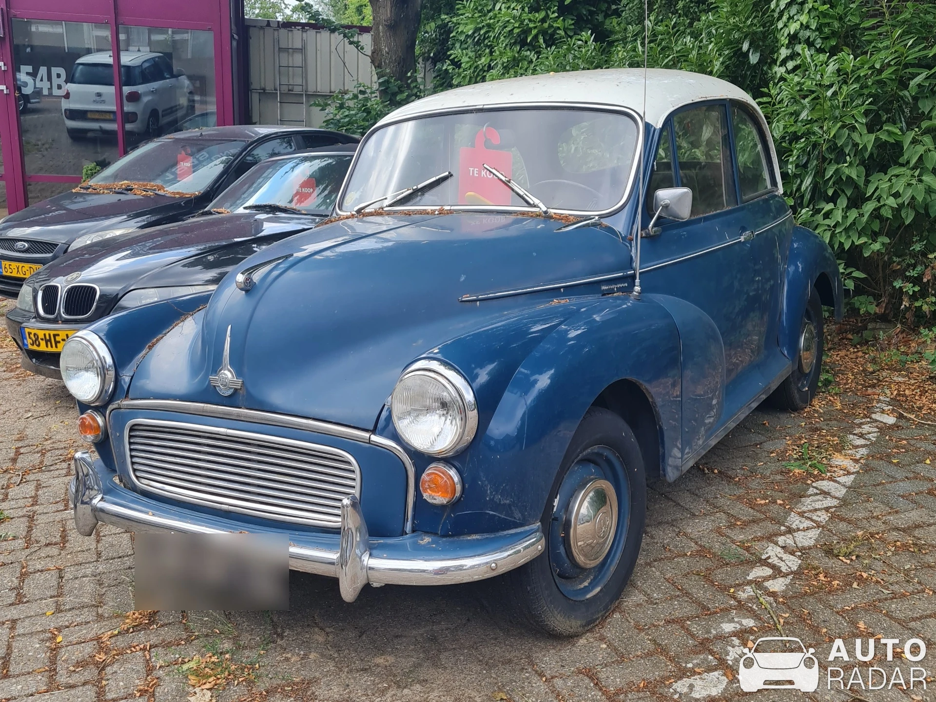 Morris Minor 1000 Traveller spotted in Oosterbeek