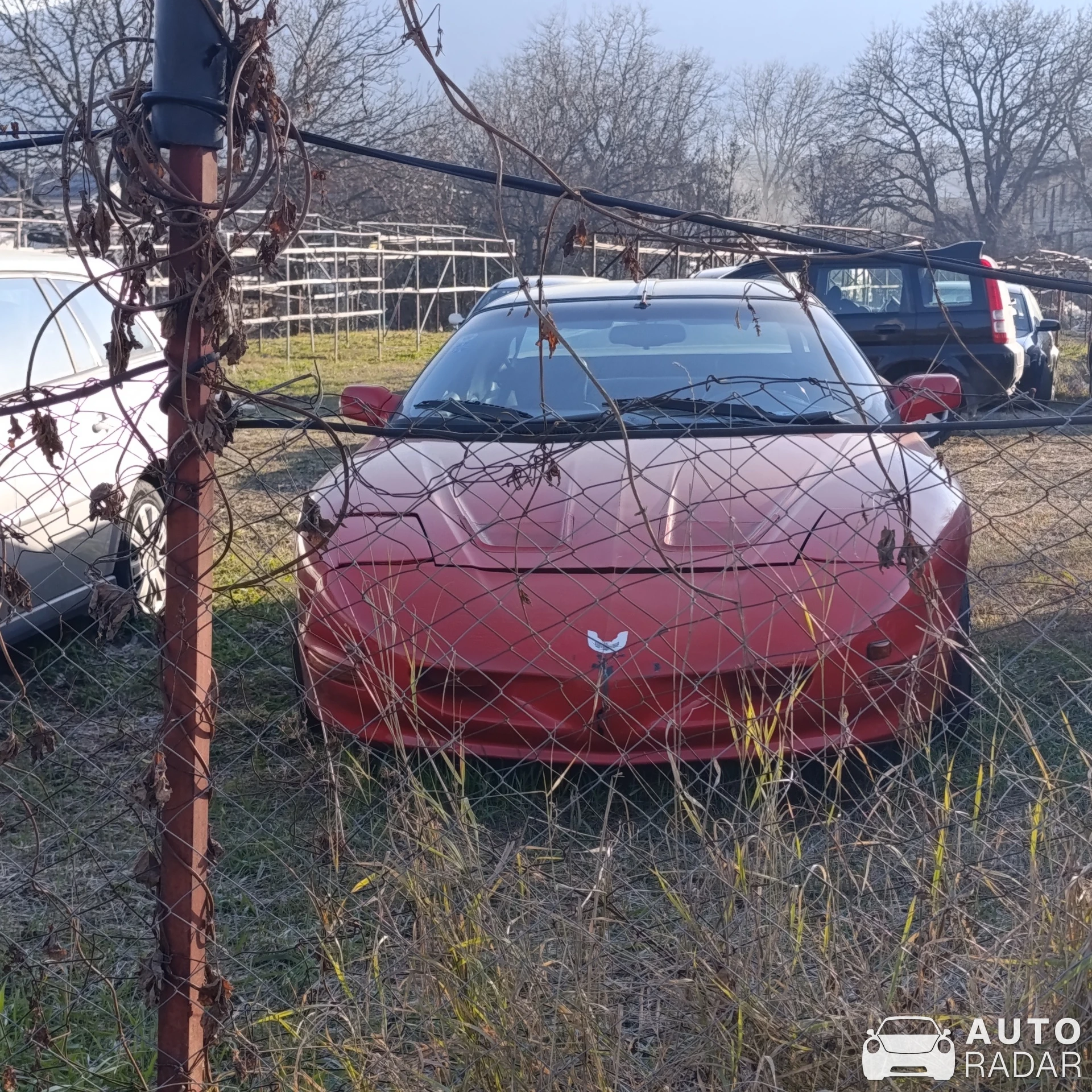 Pontiac Firebird spotted in Bitola