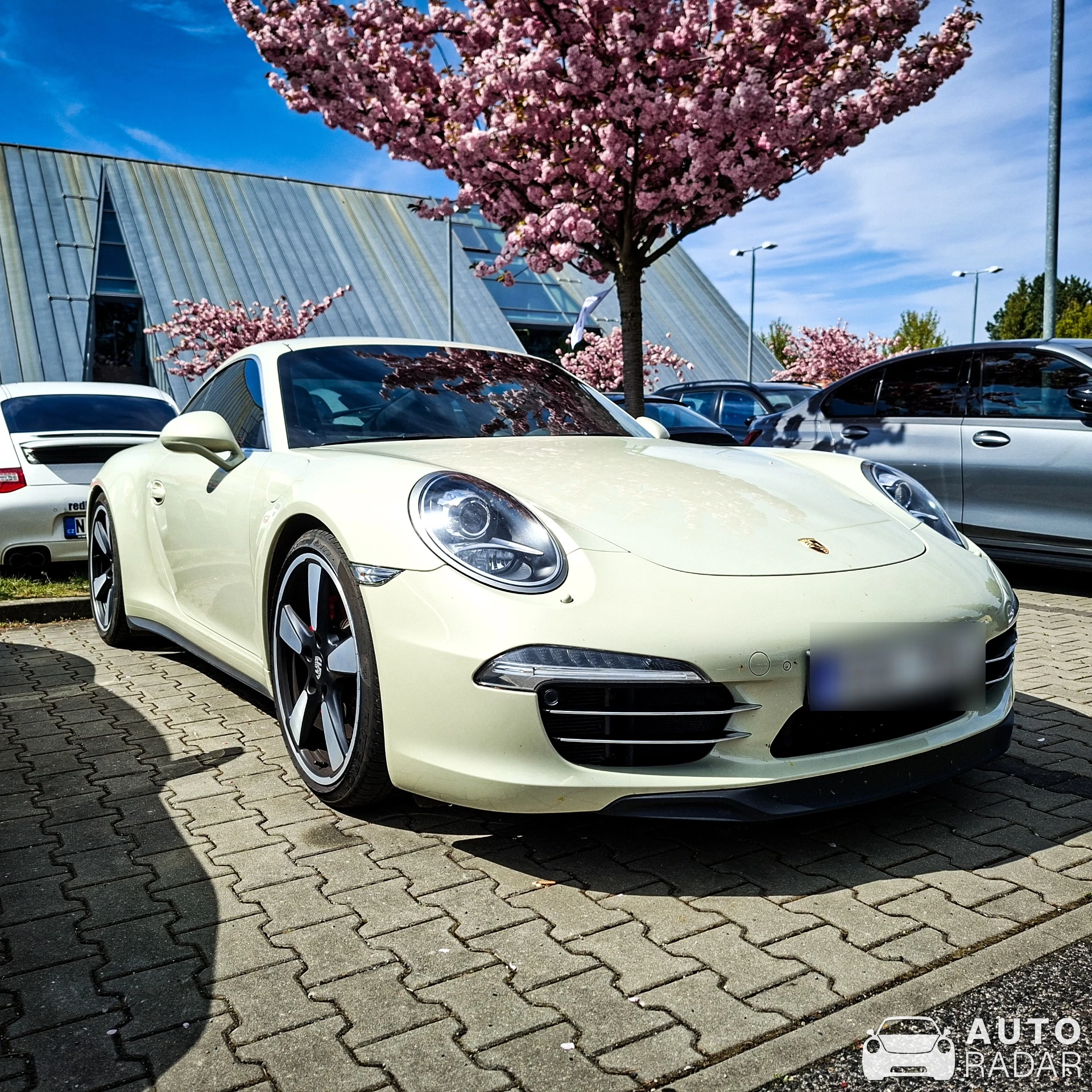Porsche 991 50th Anniversary Edition spotted