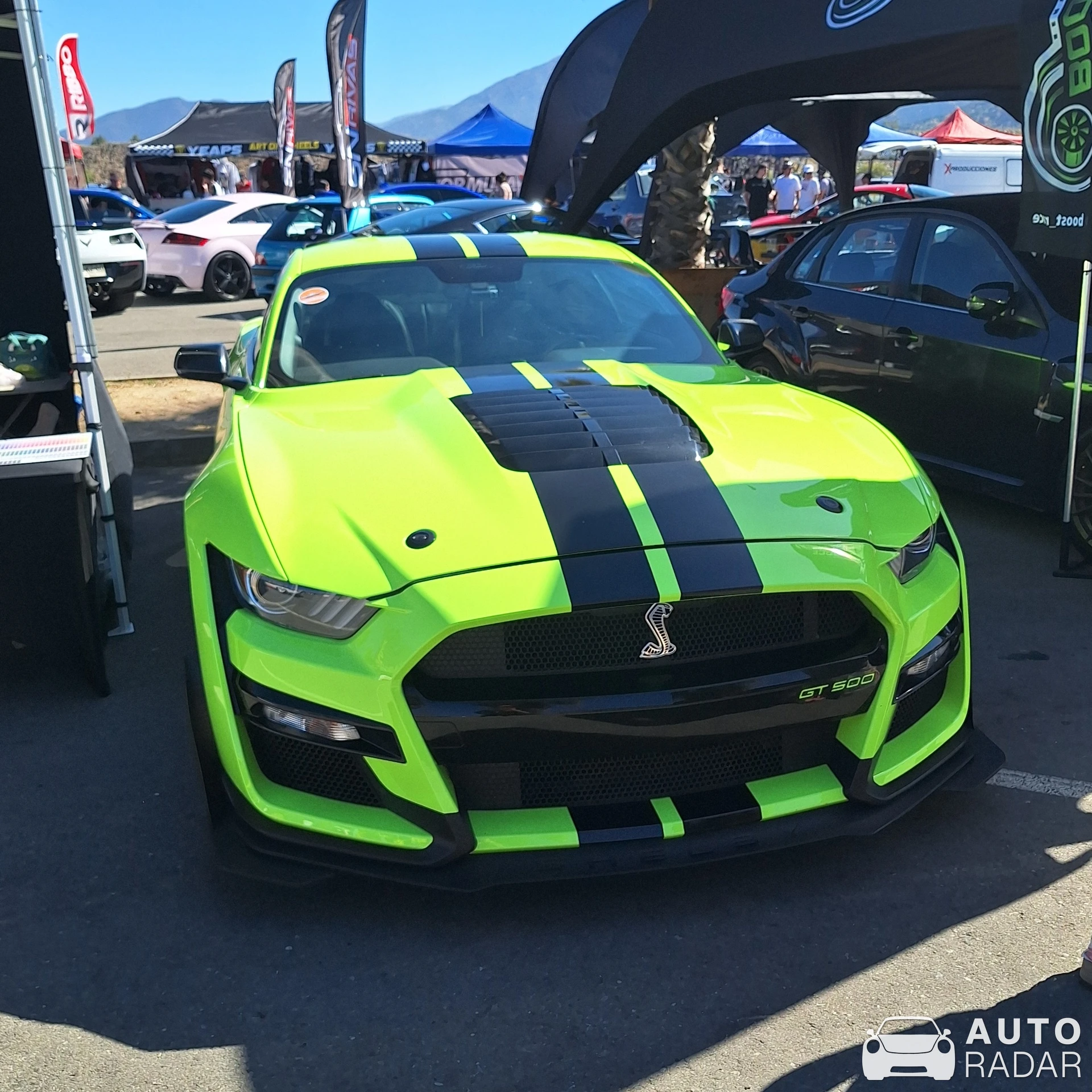 Ford Mustang Shelby GT500 spotted in Codegua, Chile