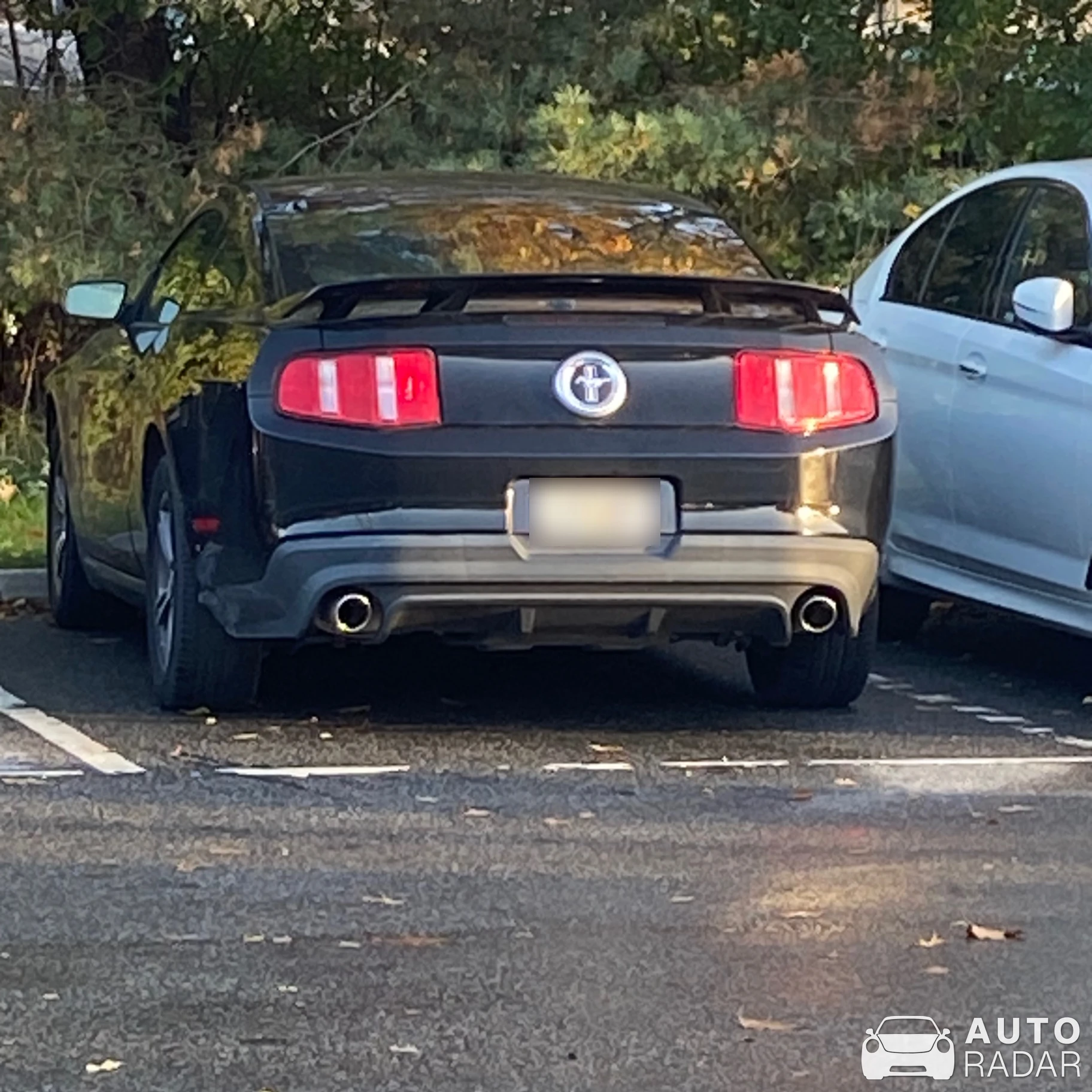 Ford Mustang GT spotted in Brämaregården, Sweden