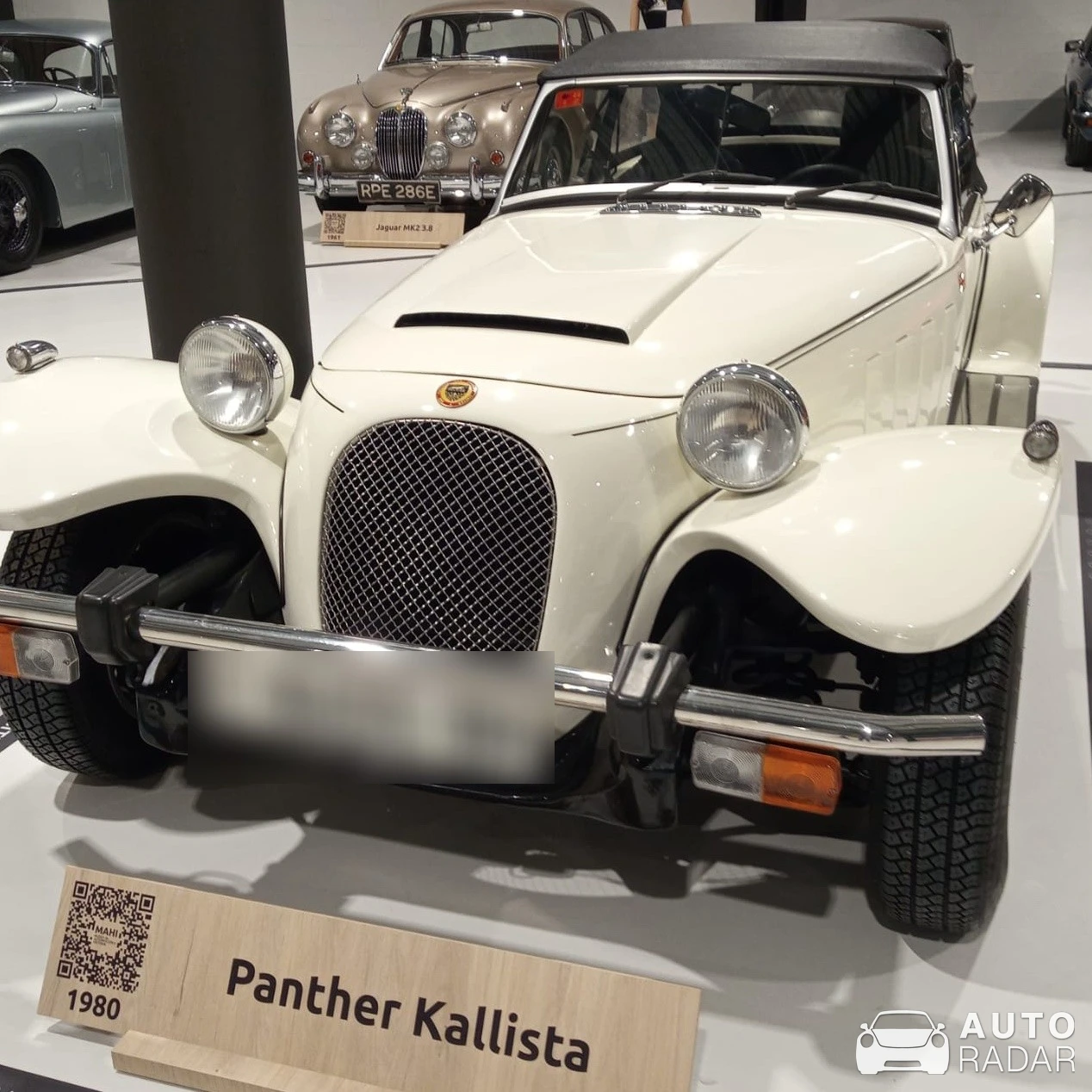 Panther Kallista spotted in Arteixo