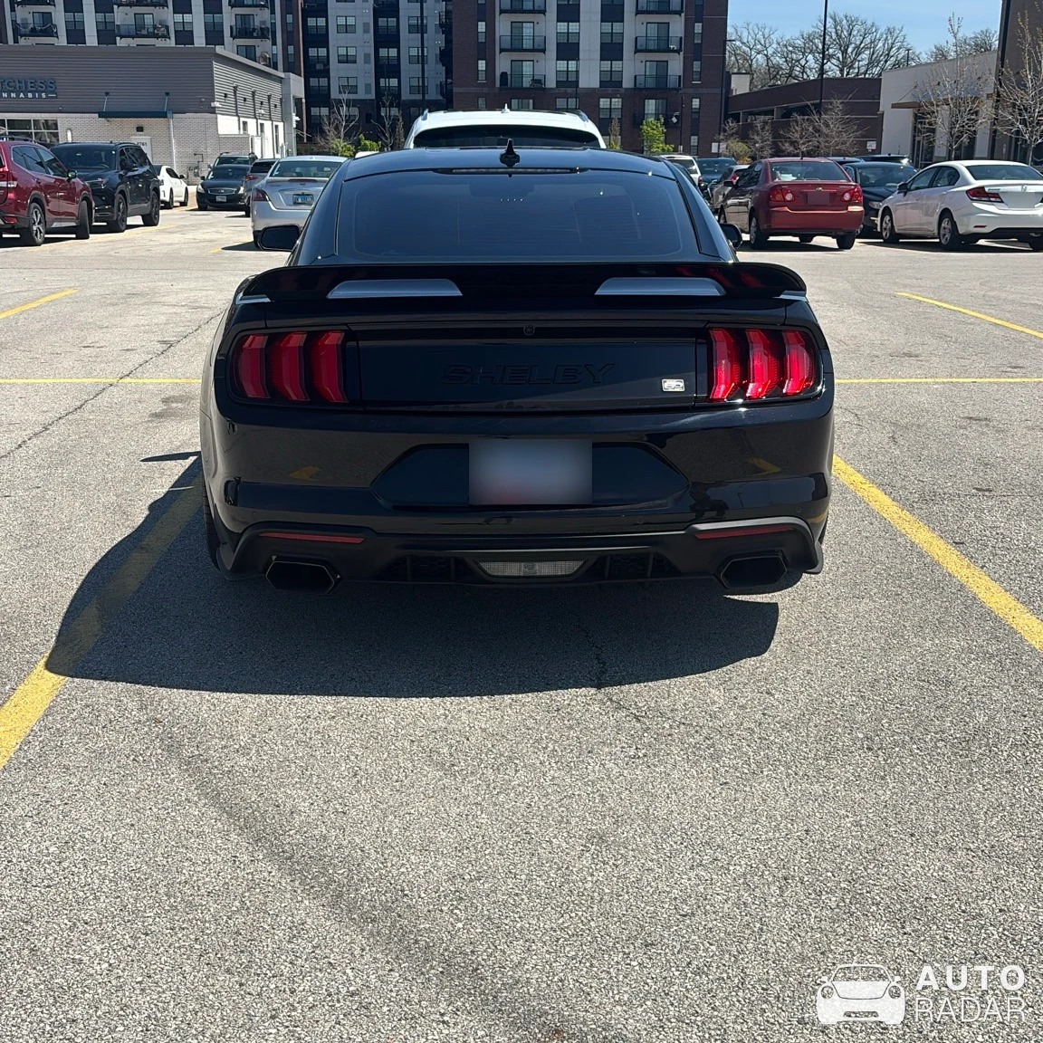 Ford Mustang Shelby Super Snake 2020 spotted in Morton Grove, United States