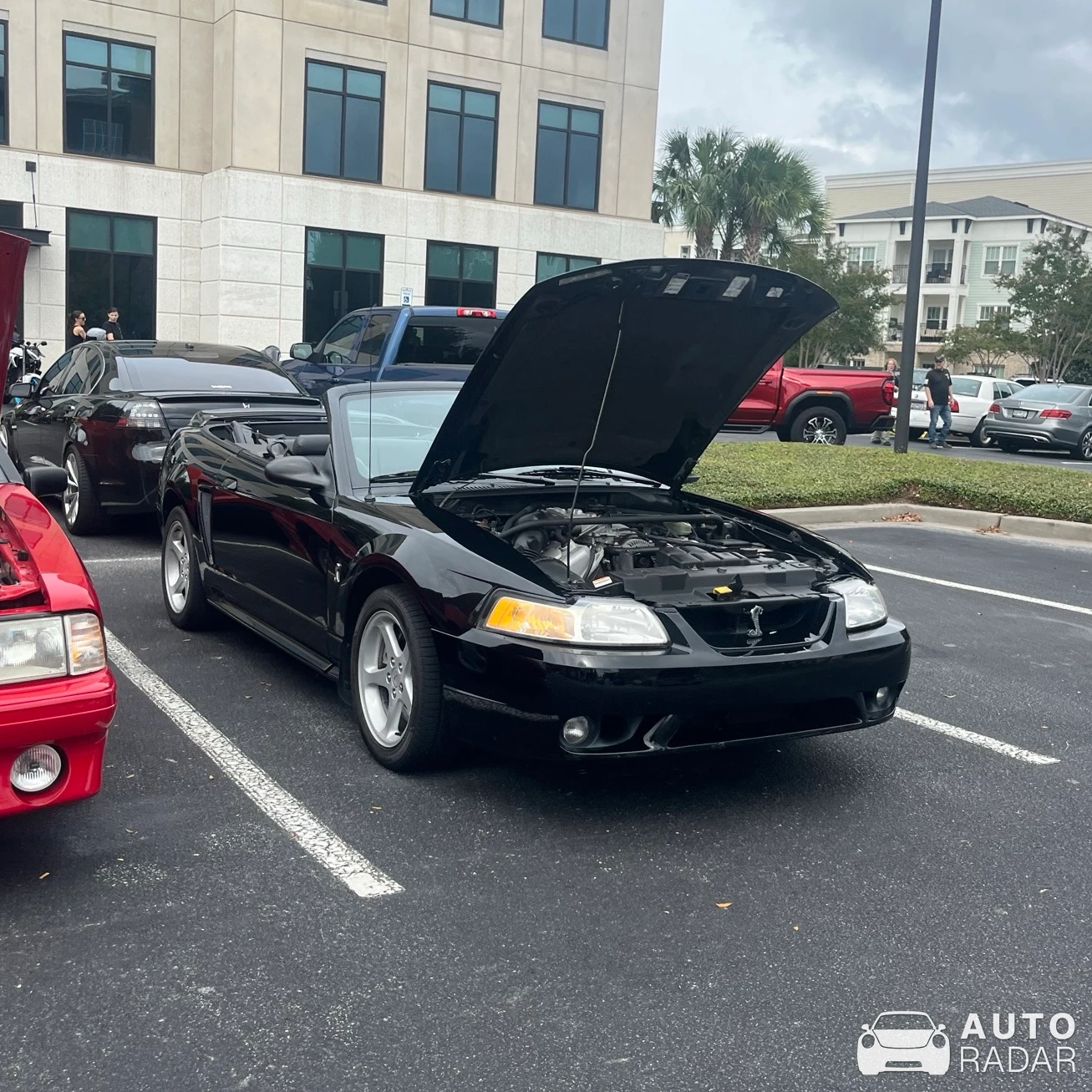 Ford SVT Mustang Cobra Convertible spotted in Charleston