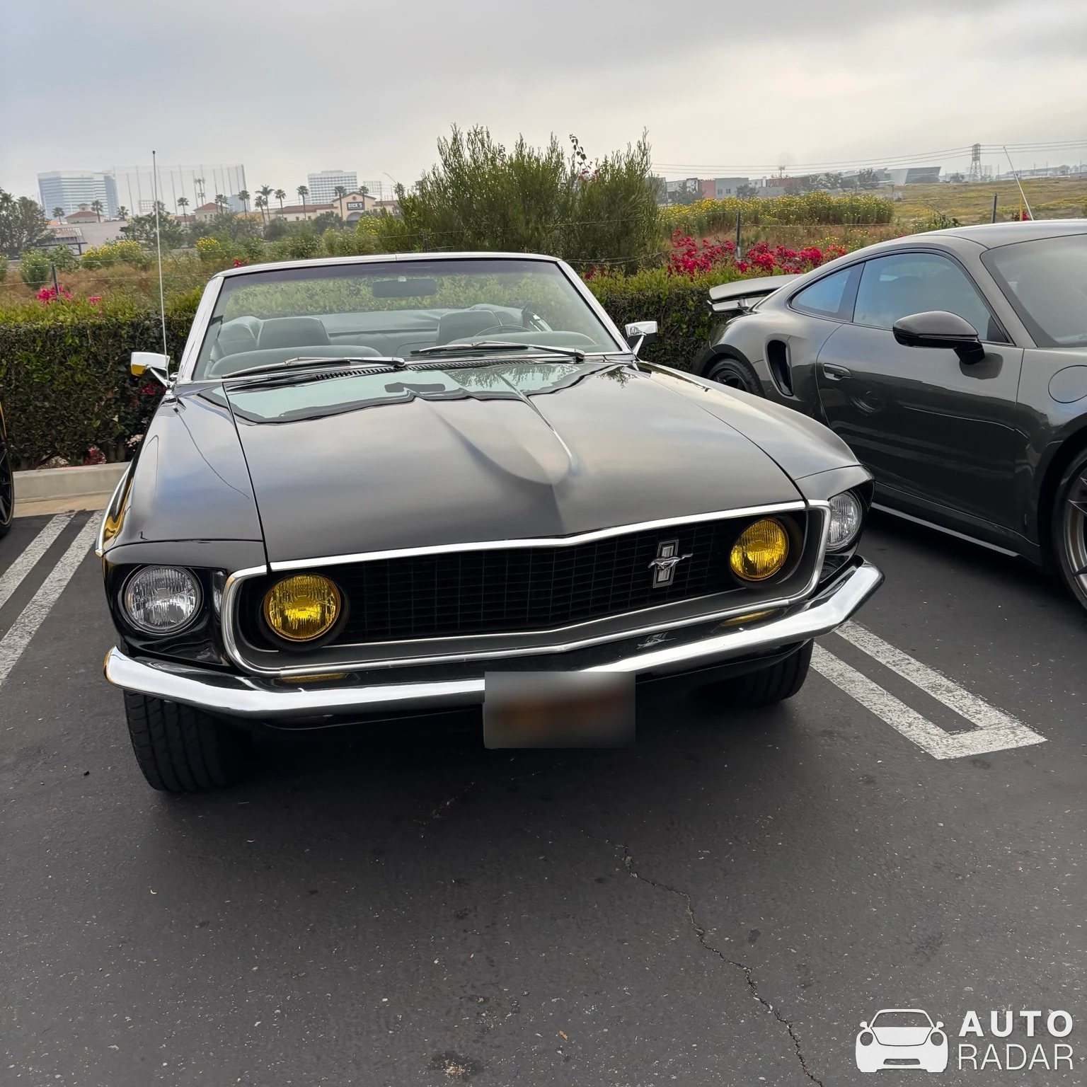 Ford Mustang Shelby G.T. 350 Convertible 1969 spotted in El Segundo