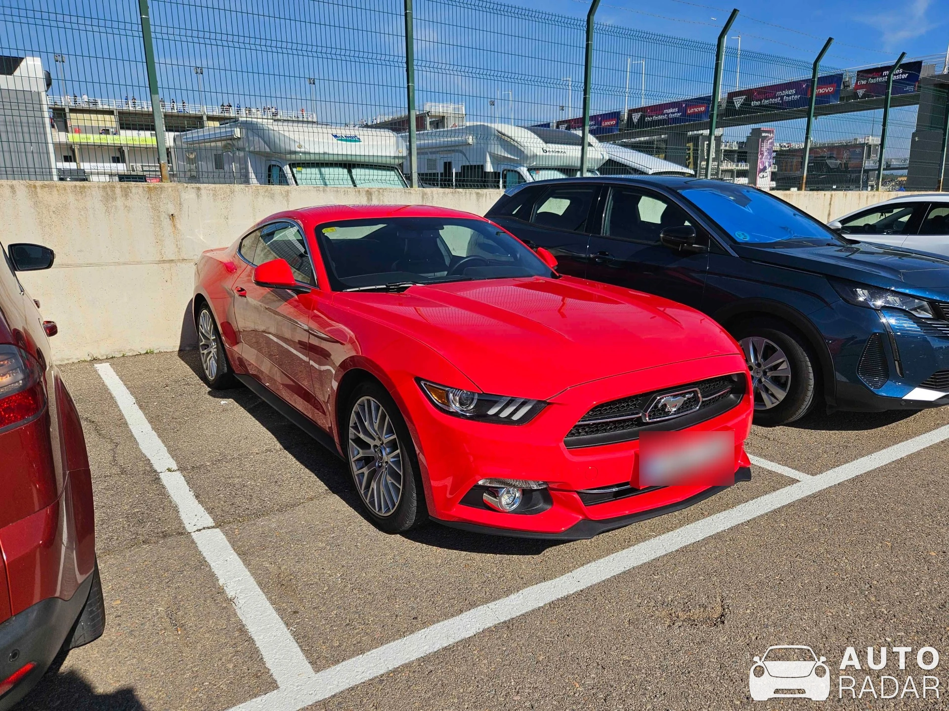 Ford Mustang GT 50th Anniversary Edition spotted in Cheste