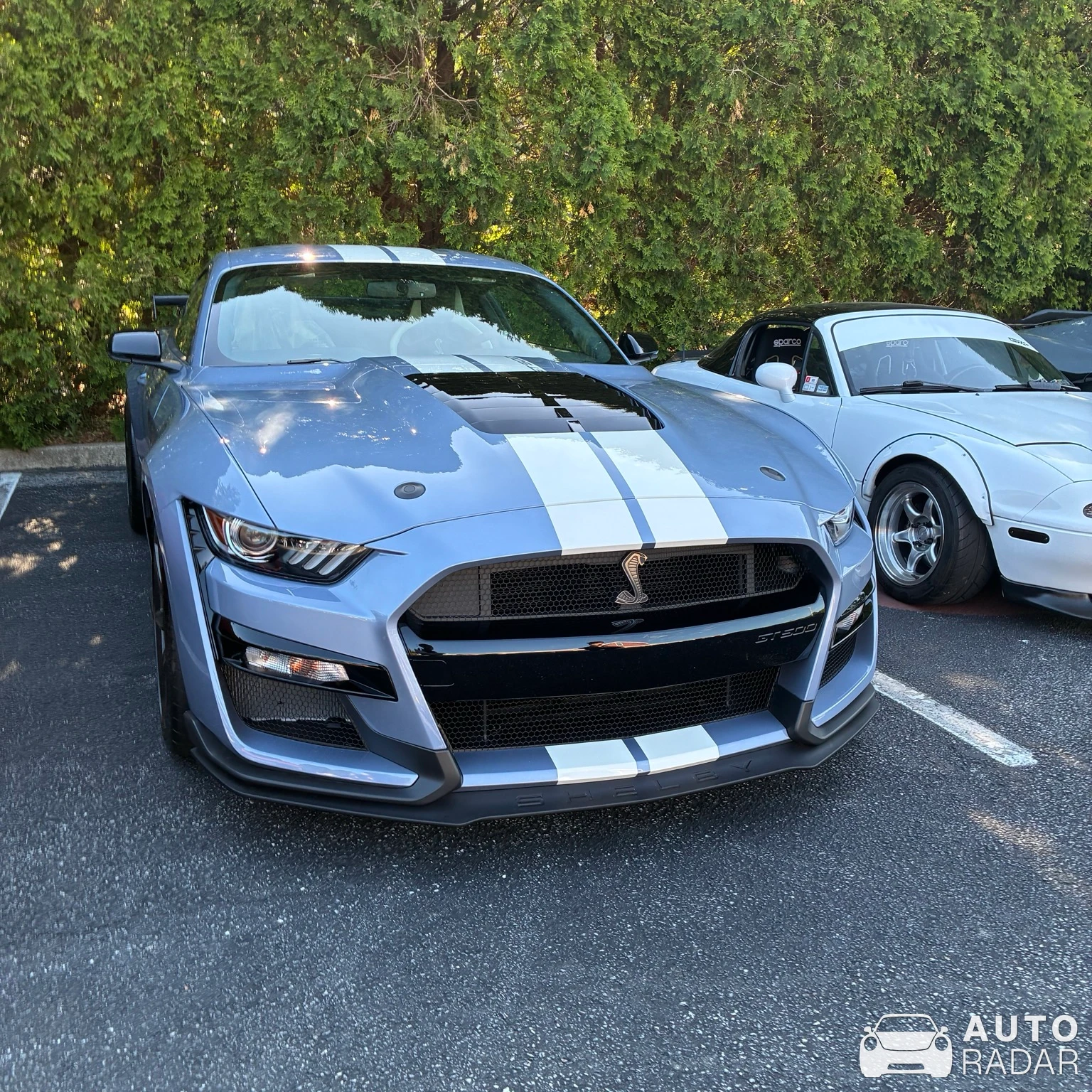 Ford Mustang Shelby GT500 spotted in Kennett Square