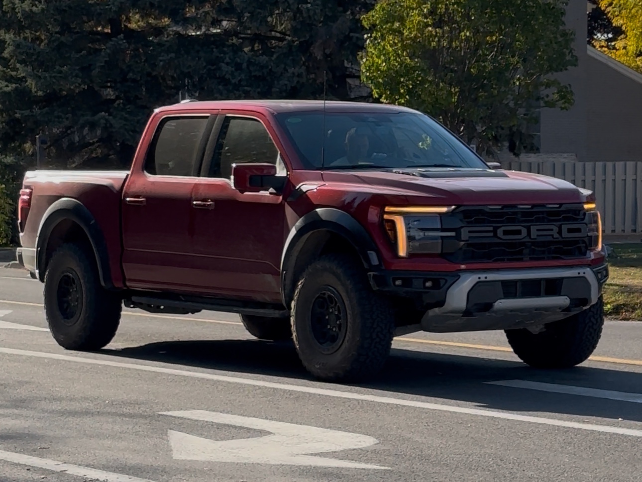 Ford F-150 Raptor 37