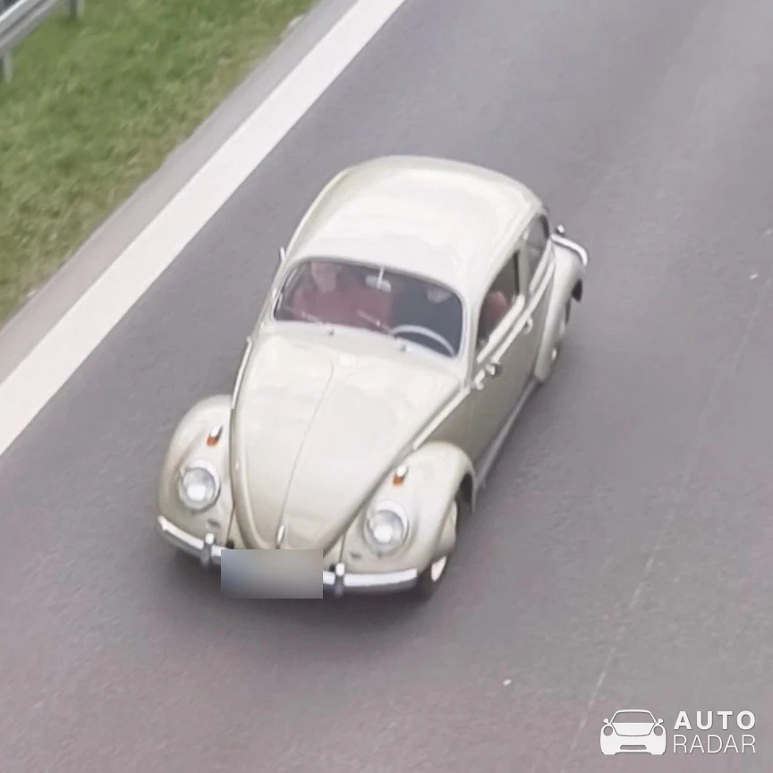 Volkswagen Käfer spotted in Weingarten