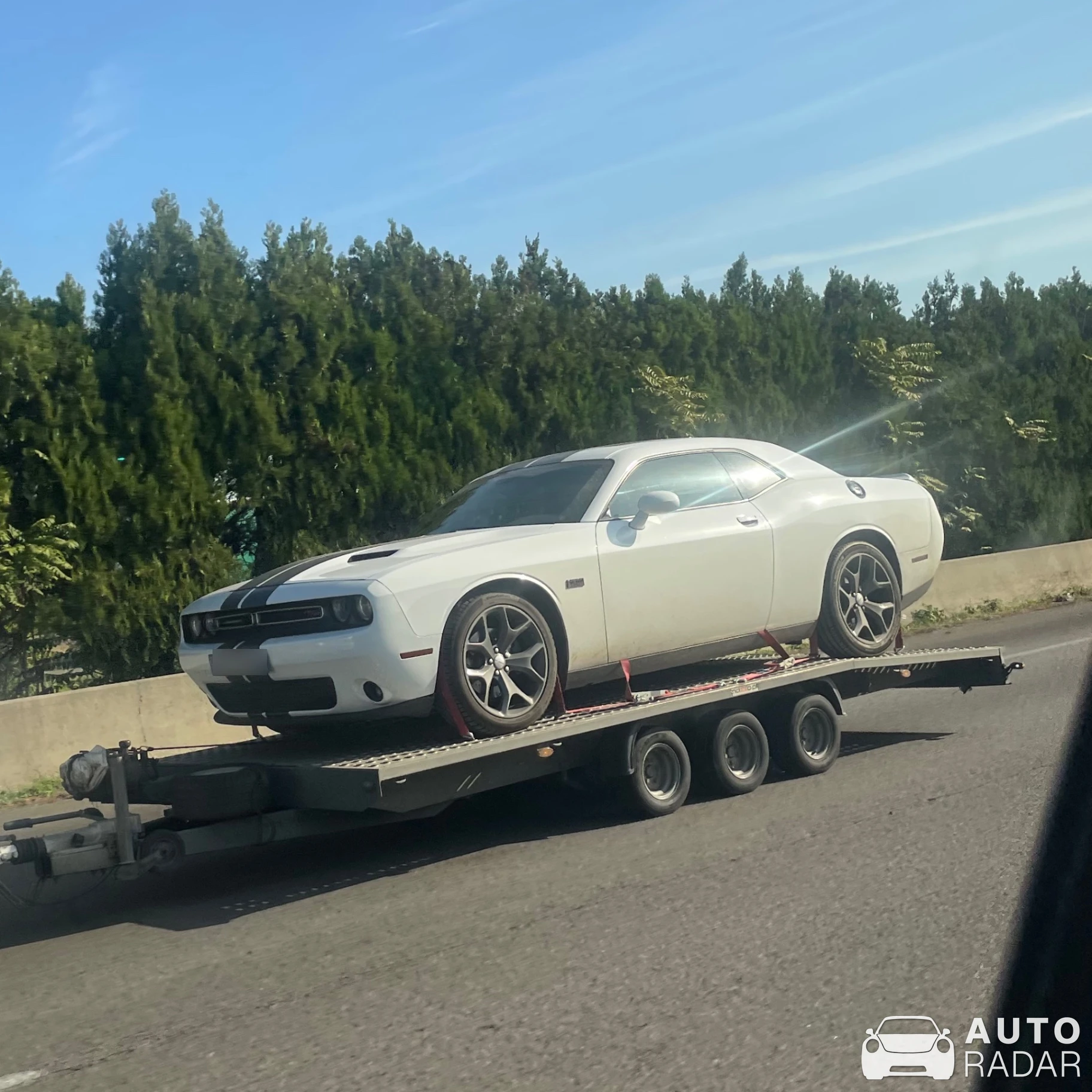 Dodge Challenger R/T spotted in Courthézon, France