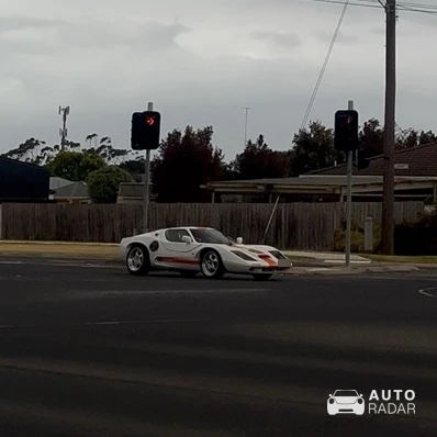 Purvis Eureka spotted in Leopold