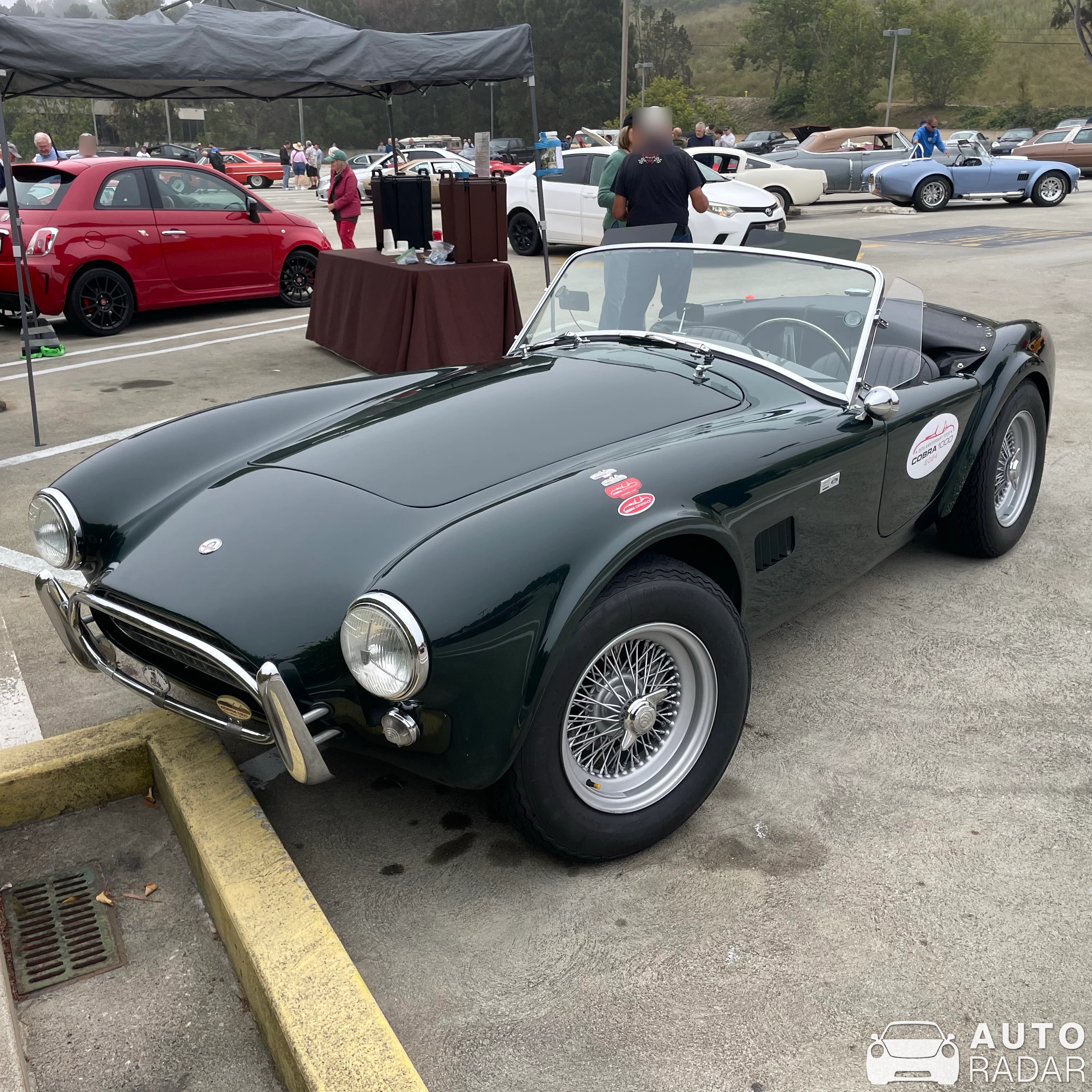 Shelby Cobra 289 spotted in Rolling Hills Estates