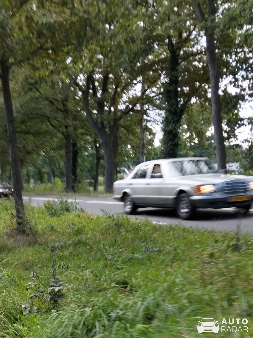 Mercedes-Benz 450SL spotted in Ruurlo, Netherlands