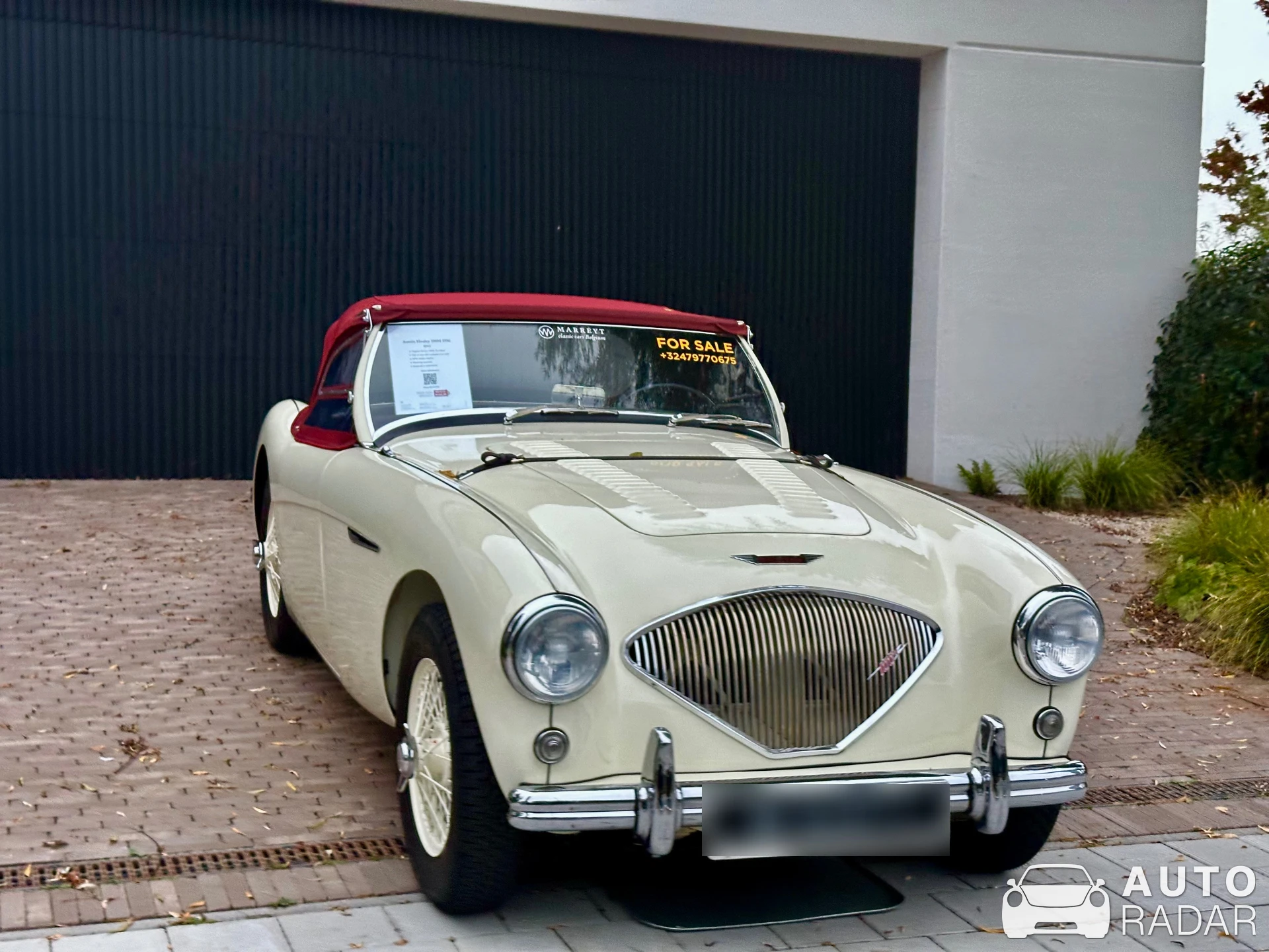 Austin-Healey 100 BN2 spotted in Knokke-Heist
