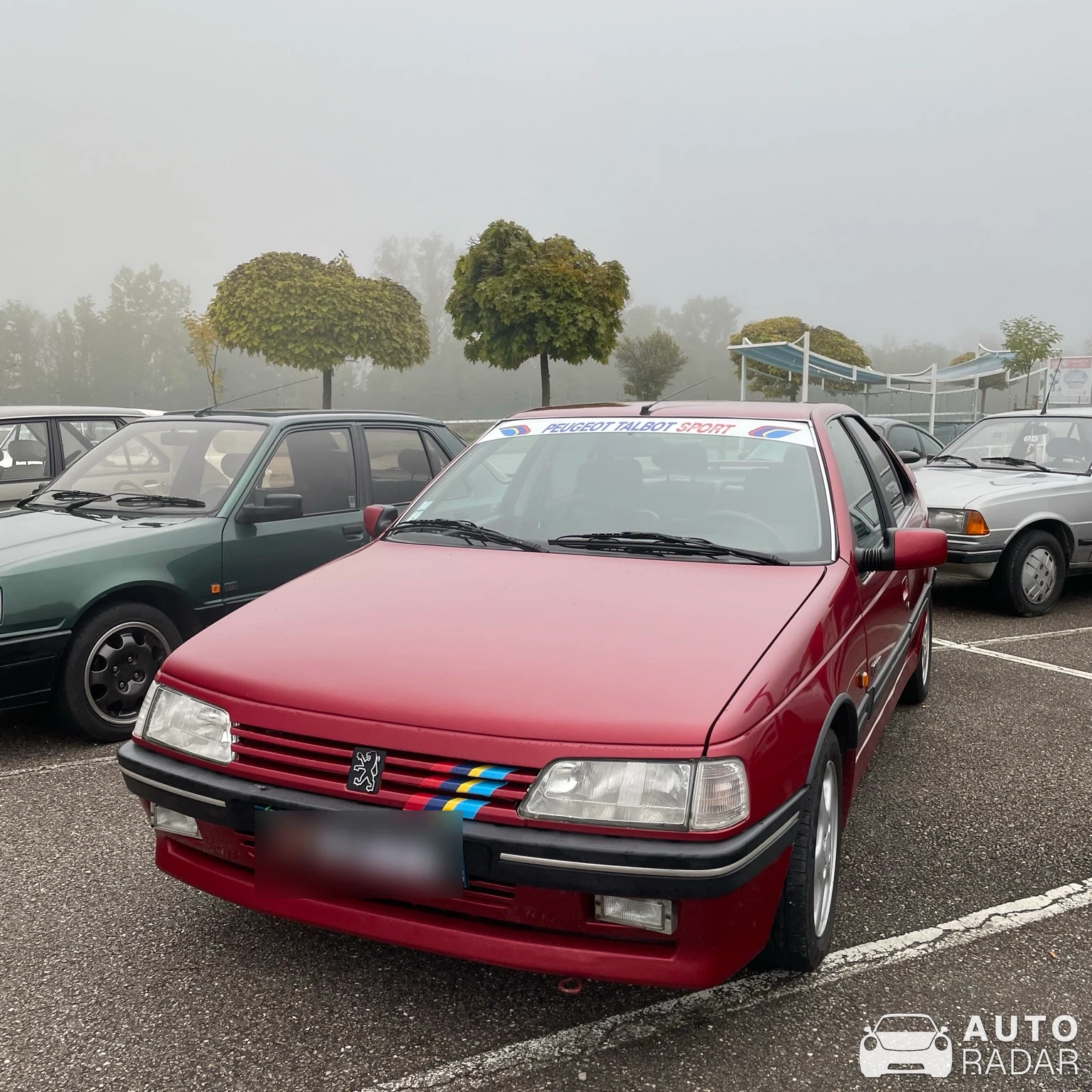 Peugeot 405 Mi16 spotted in Dommartin-lès-Toul