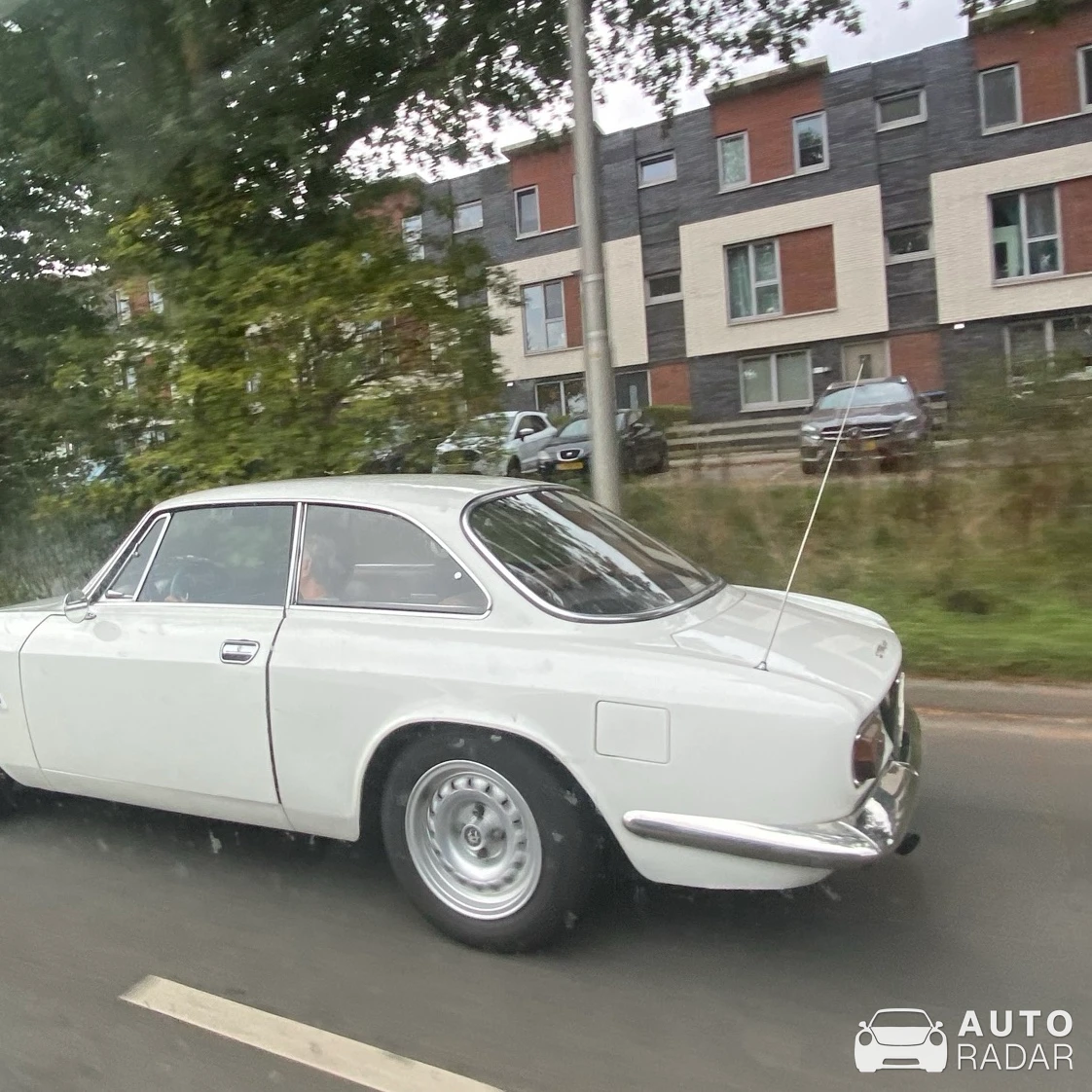Alfa Romeo Giulia SS 1600 spotted in Amstelveen