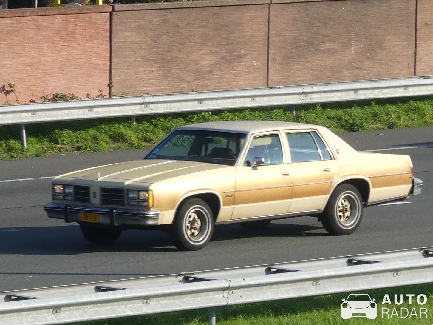 Oldsmobile Delta 88 spotted in Bunnik