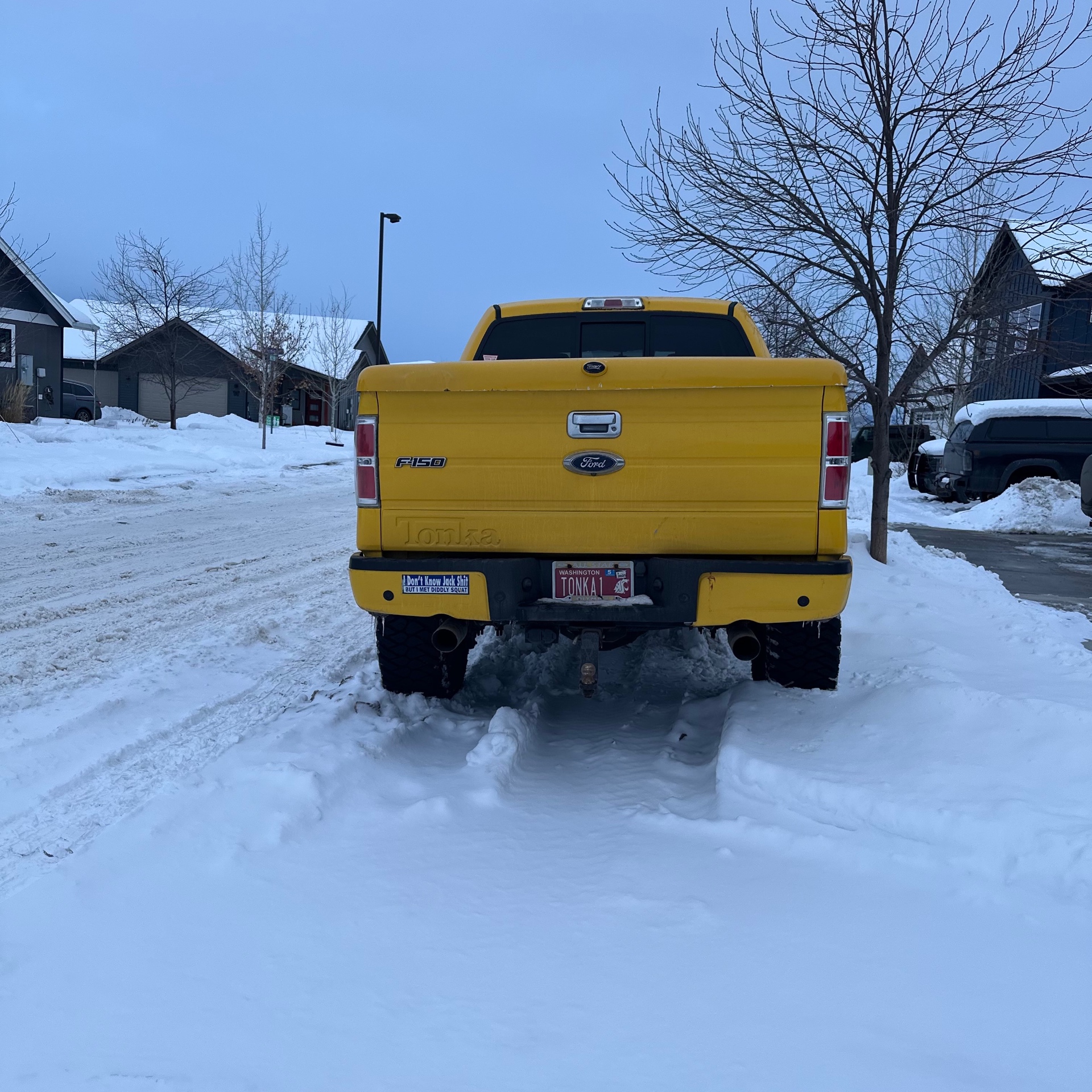 Ford F-150 Tonka Edition