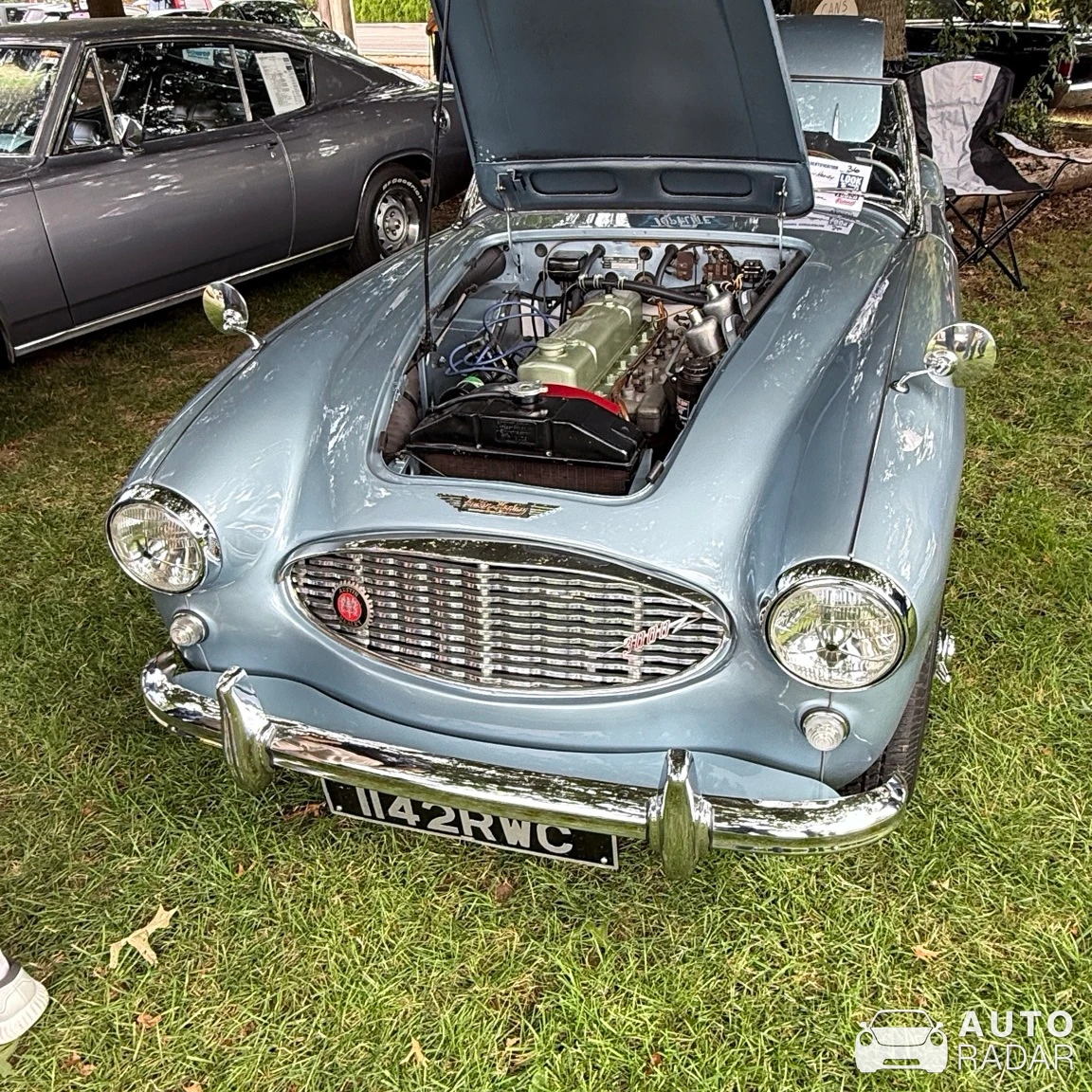 Austin-Healey 3000 MkIII spotted in Eugene