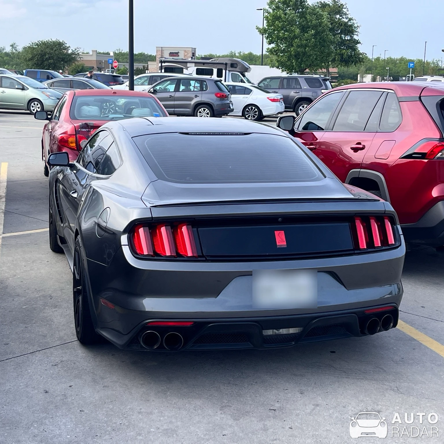 Ford Mustang Shelby GT350 2015 spotted in Sachse, United States