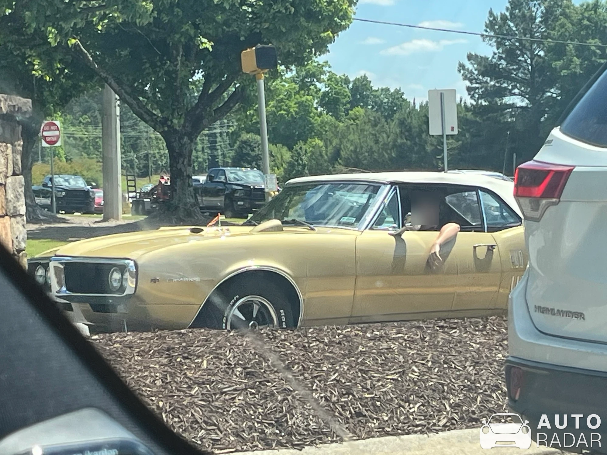 Pontiac Firebird spotted in Cumming