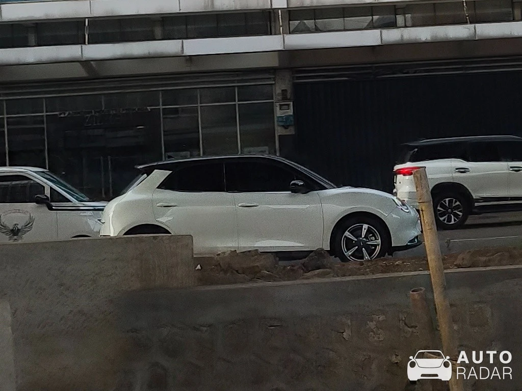 Ora Good Cat spotted in Jakarta