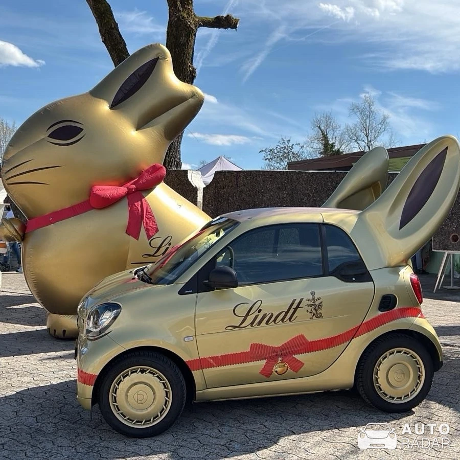 Smart Fortwo 2014 spotted in Rapperswil-Jona