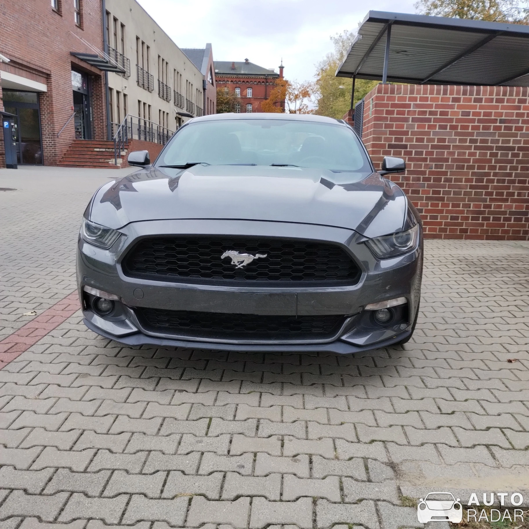Ford Mustang GT spotted in Lubin, Poland