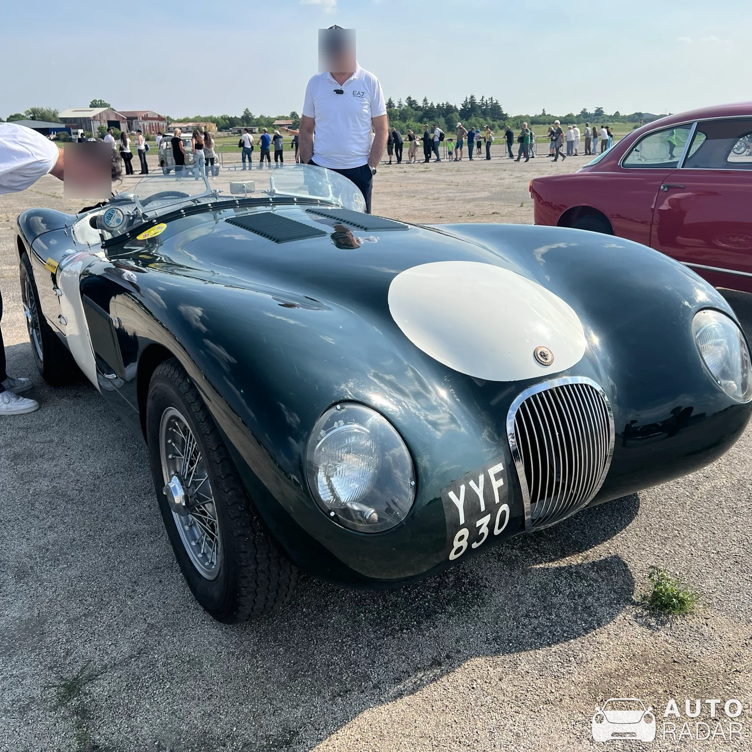 Jaguar C-Type spotted