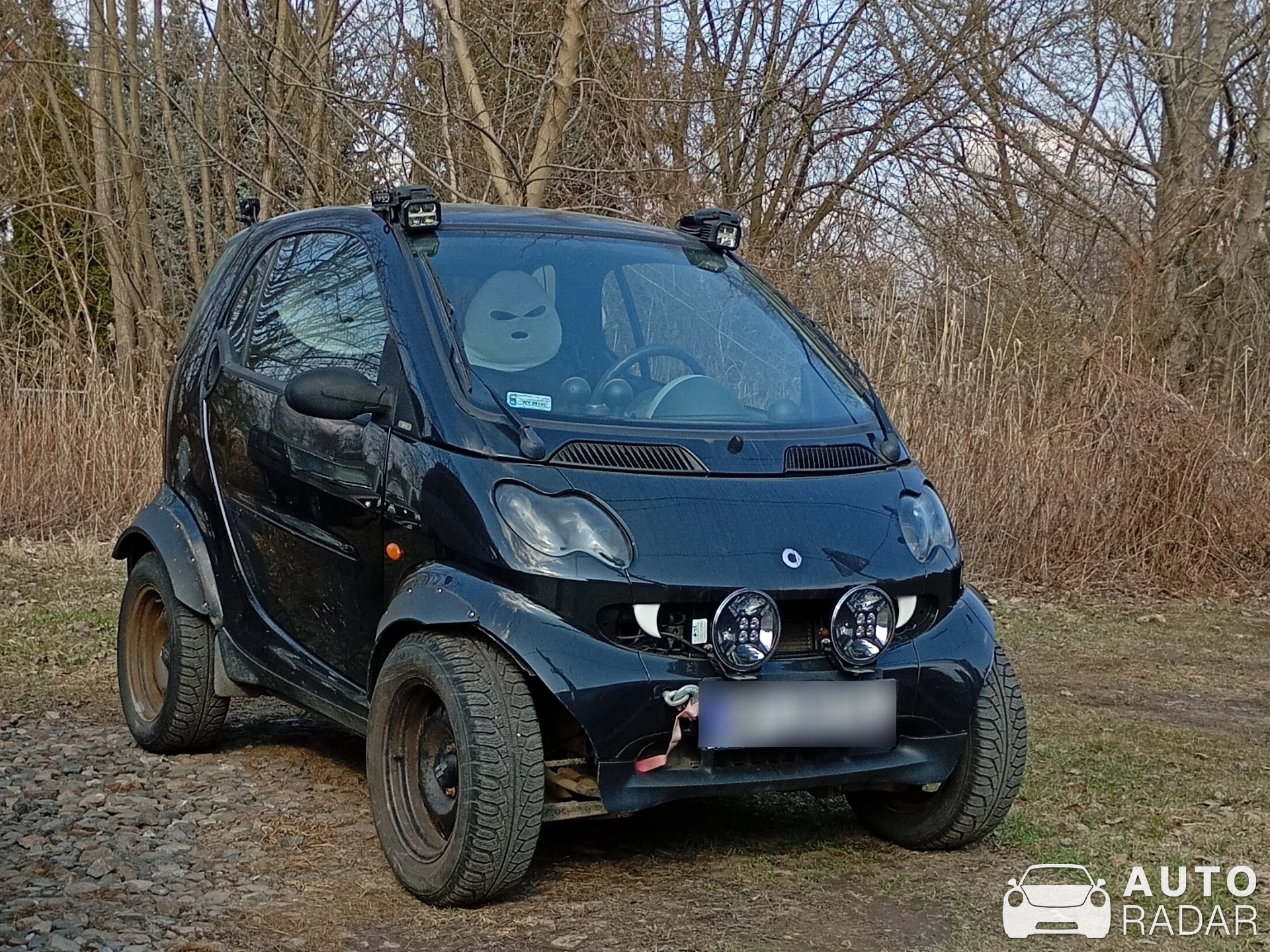 Smart Fortwo 2014 spotted in Warszawa