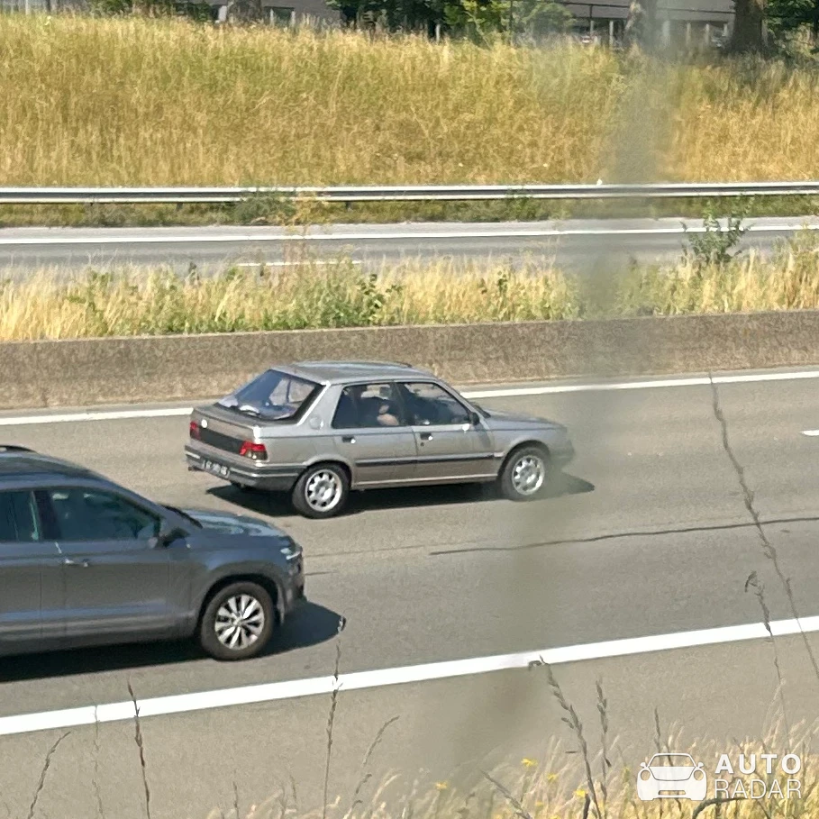 Peugeot 309 spotted in Oud-Heverlee