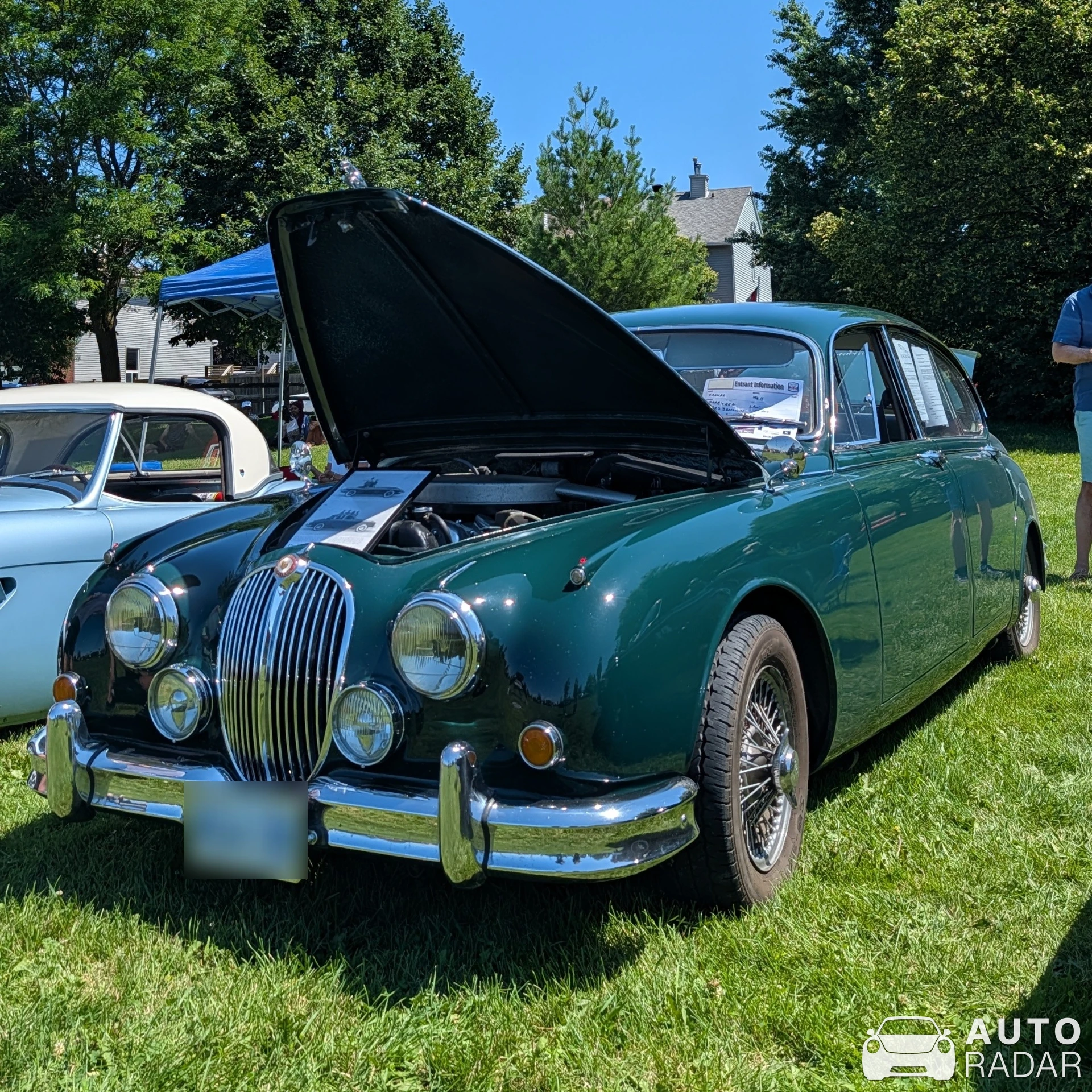 Jaguar Mark II spotted in Nepean