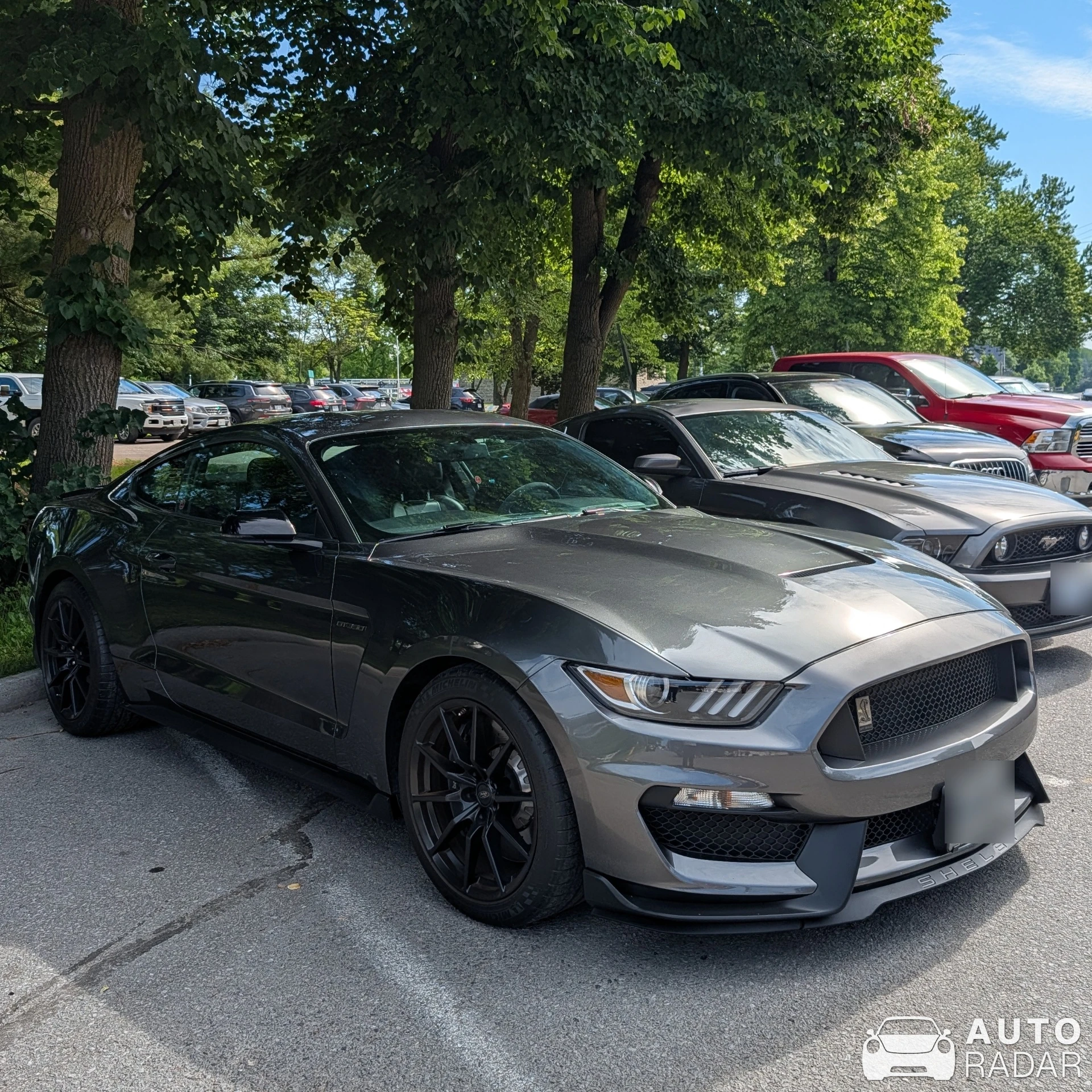Ford Mustang Shelby GT350 spotted in Merrickville