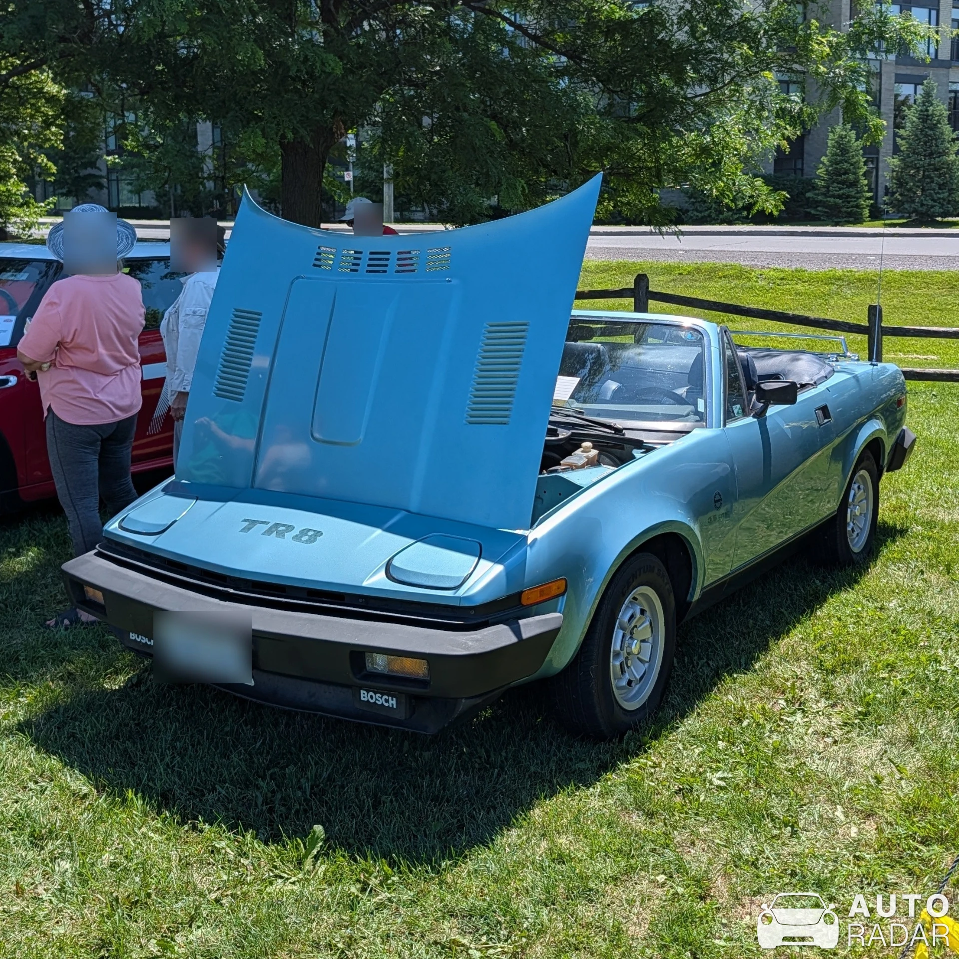 Triumph TR8 spotted in Nepean