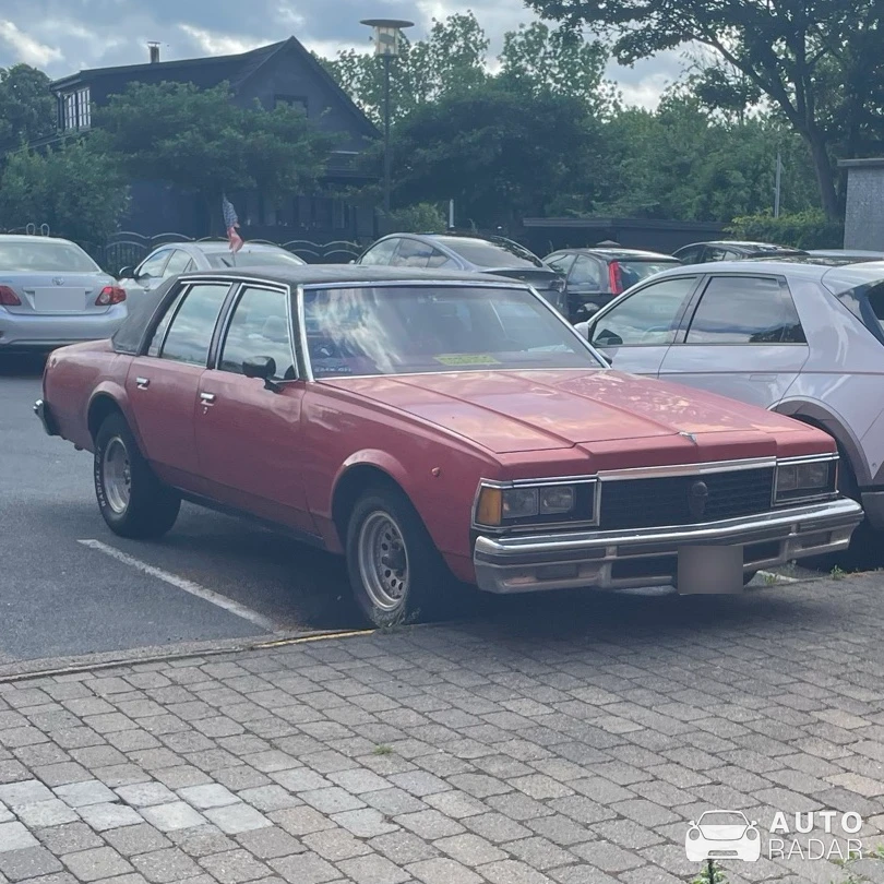Chevrolet Caprice spotted in Hørsholm