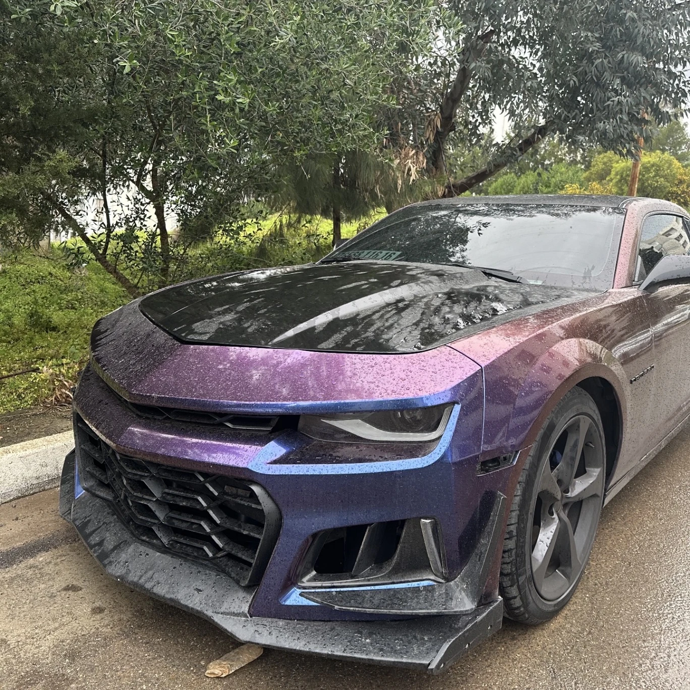 Chevrolet Camaro spotted in Bouzareah, Algérie