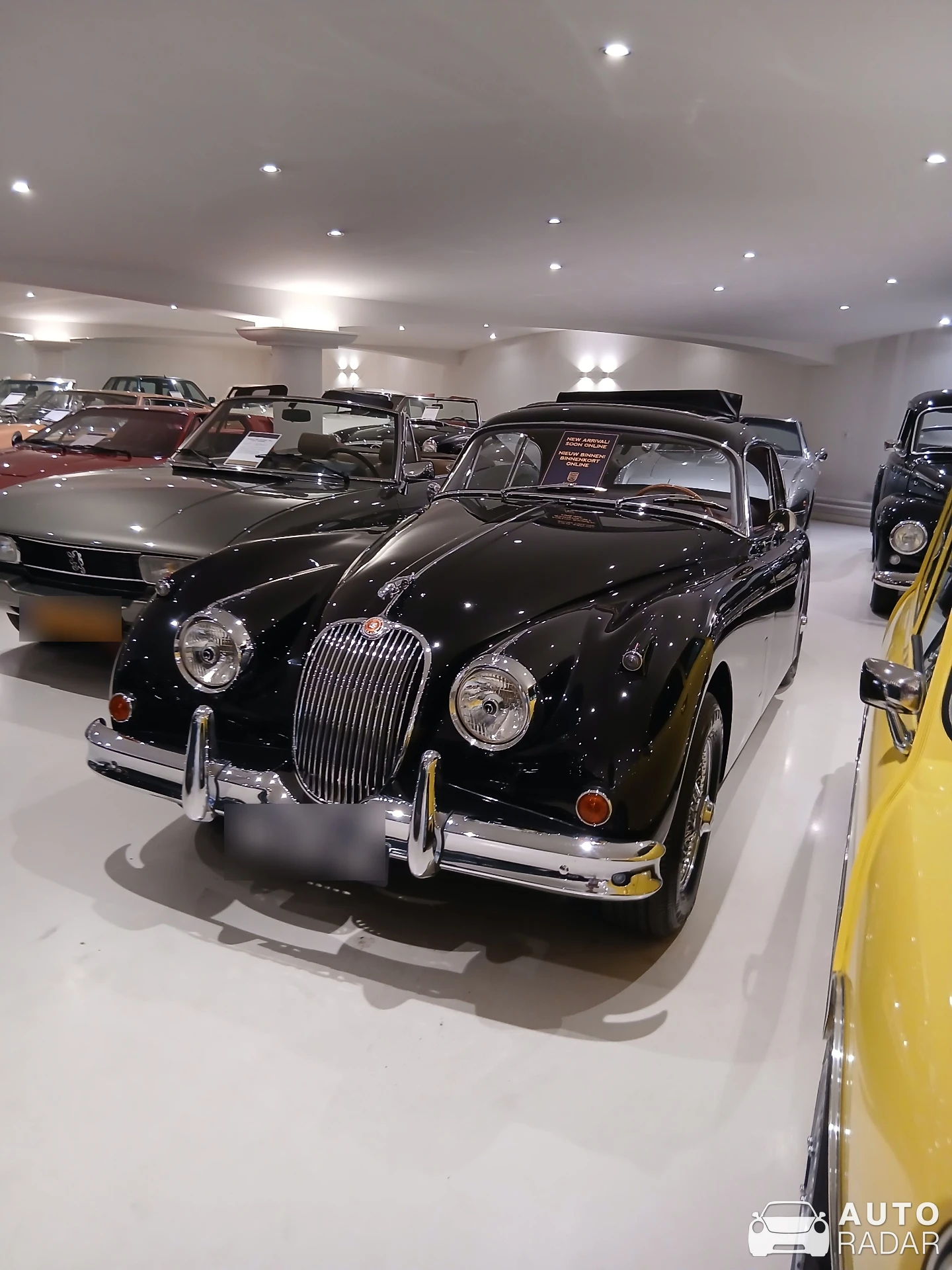 Jaguar XK150 spotted in Brummen