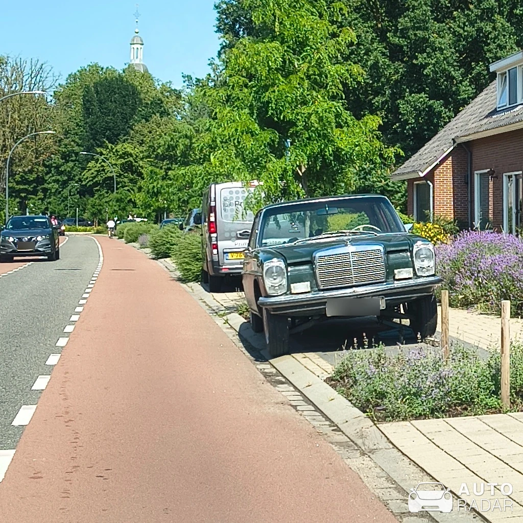 Mercedes-Benz 220 spotted in Etten