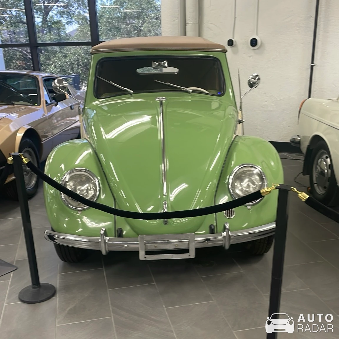 Volkswagen Beetle spotted in Fort Worth