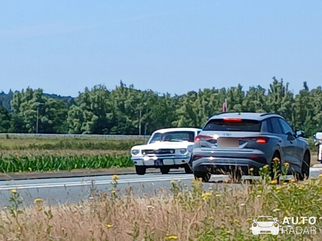 Ford Mustang spotted in Wijnbergen