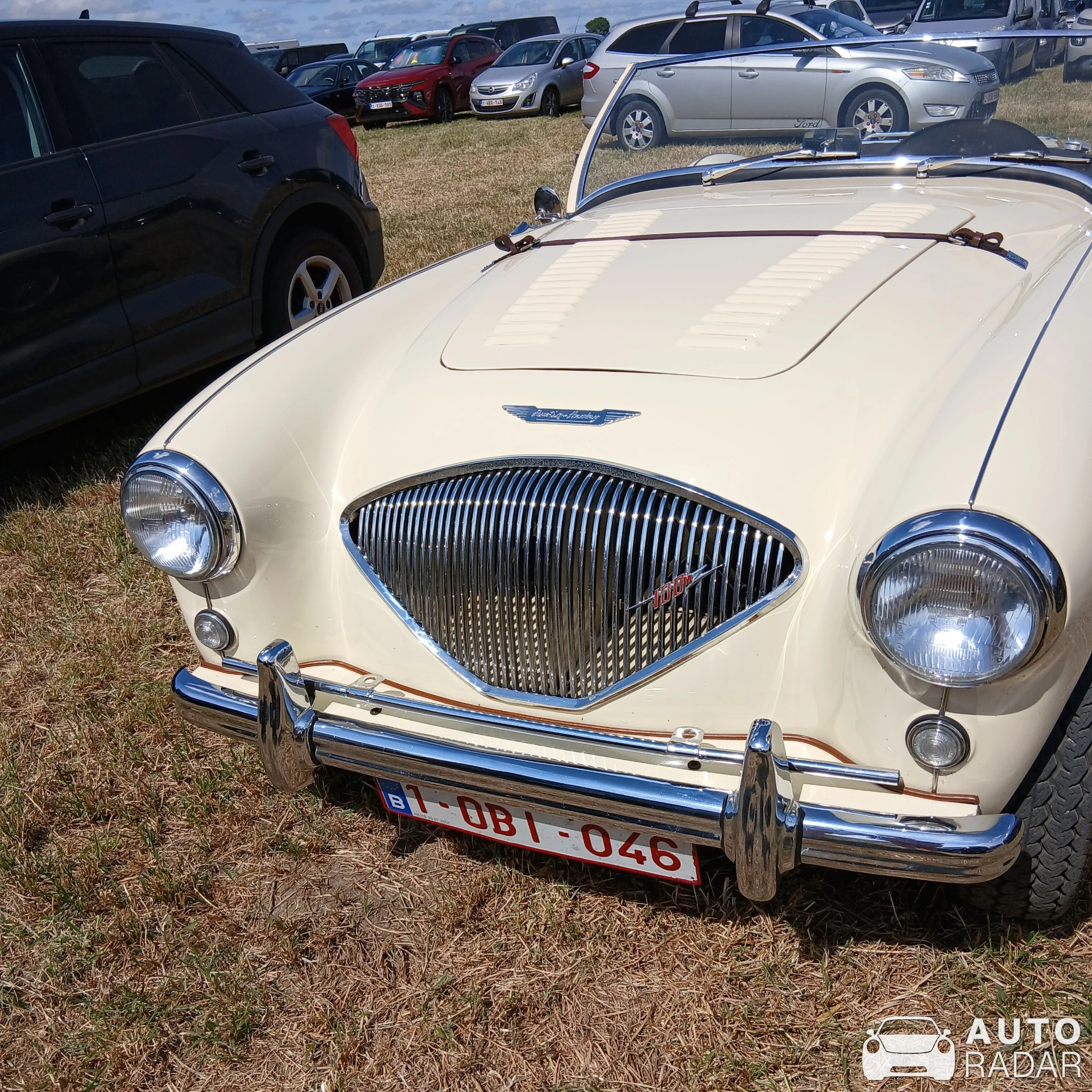 Austin-Healey 100 spotted in Izegem