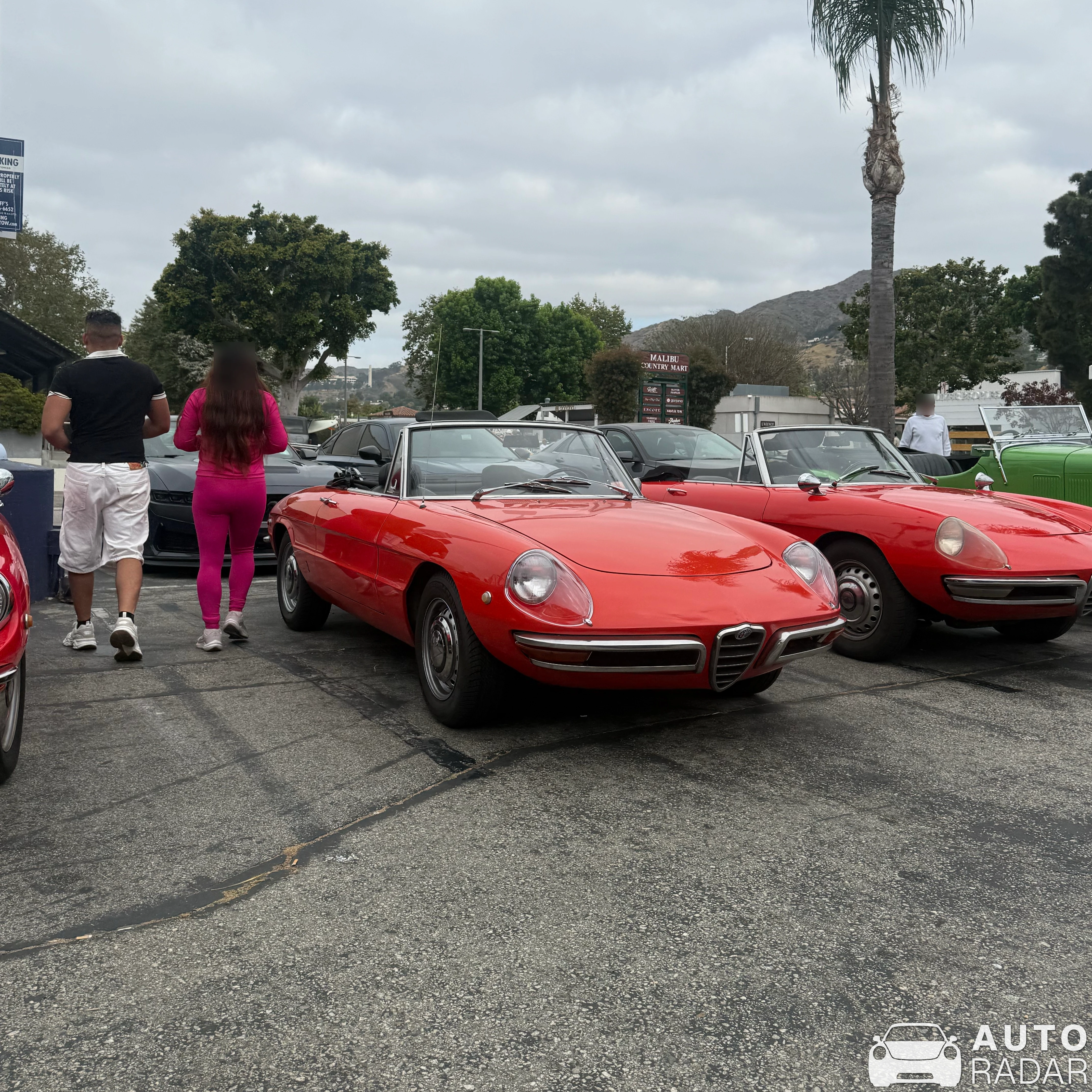 Alfa Romeo Spider 1600 Duetto spotted in Malibu