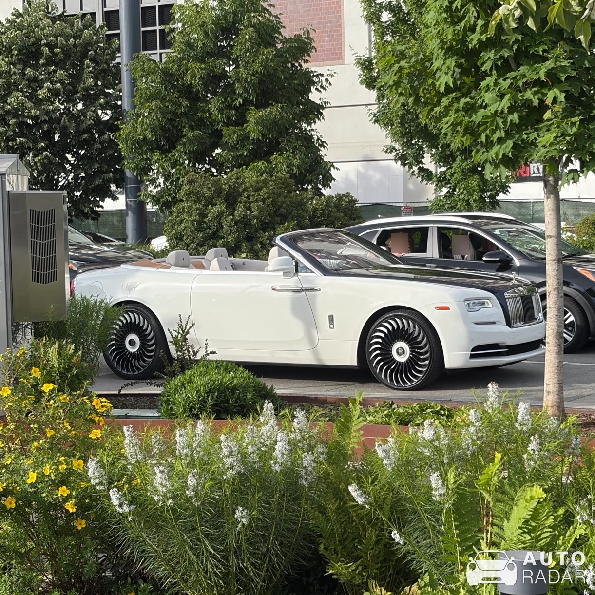 Rolls-Royce Dawn spotted in Seattle