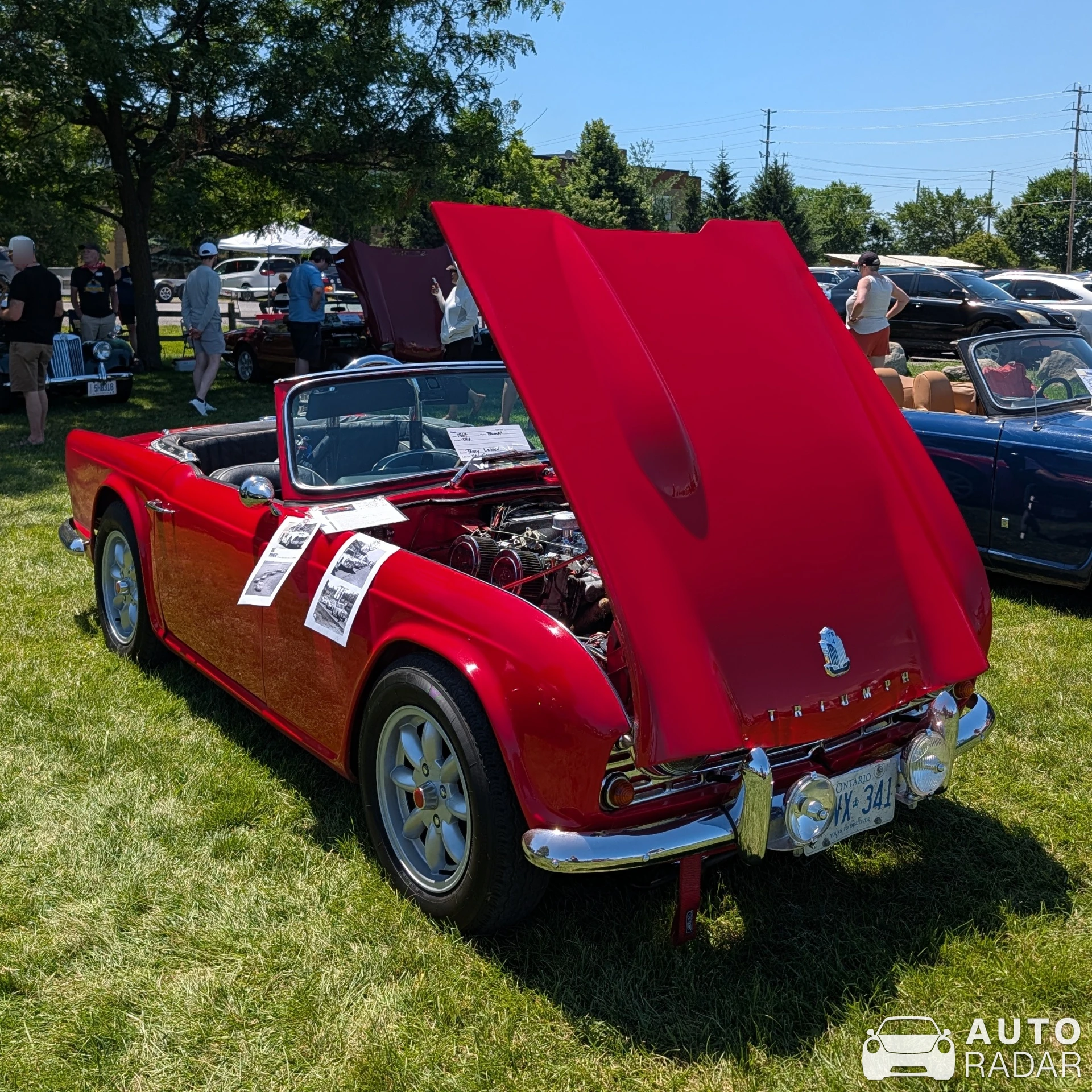 Triumph TR4 spotted in Nepean